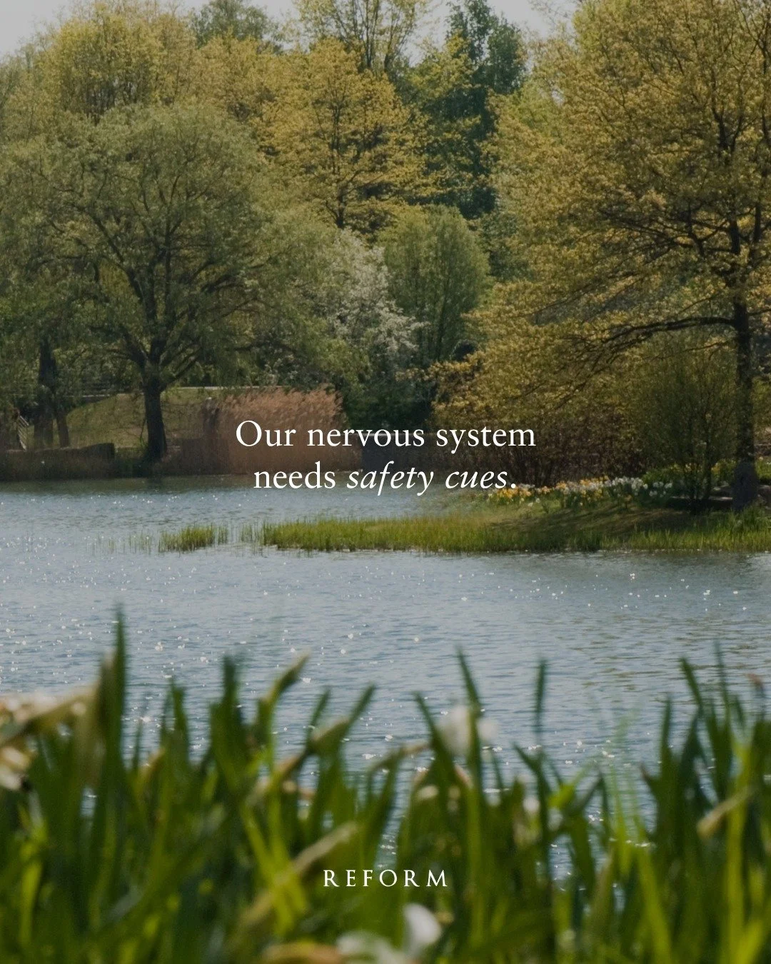 Our nervous system needs safety cues. The vagus nerve is the longest cranial nerve in the body and a major part of the parasympathetic nervous system&mdash;the &ldquo;rest, digest, repair, and connect&rdquo; side of our autonomic nervous system.

It 