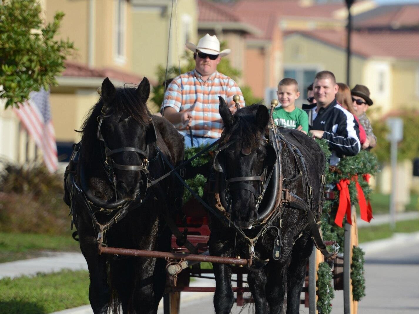 Residents cruise throughout our neighborhoods on horse and buggy!