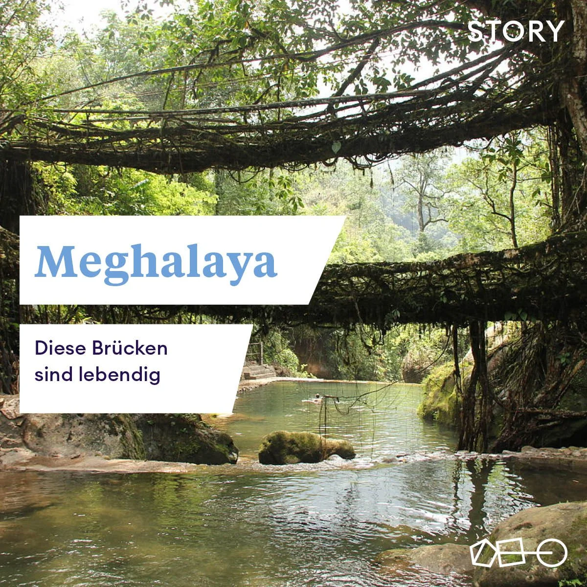 Die lebenden Brücken von Meghalaya