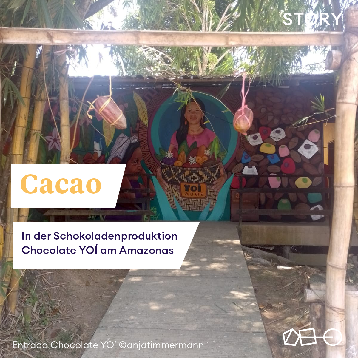 Cacao Nativo — in der Produktion von Chocolate YOí​ im Amazonasregenwald (Teil 1)