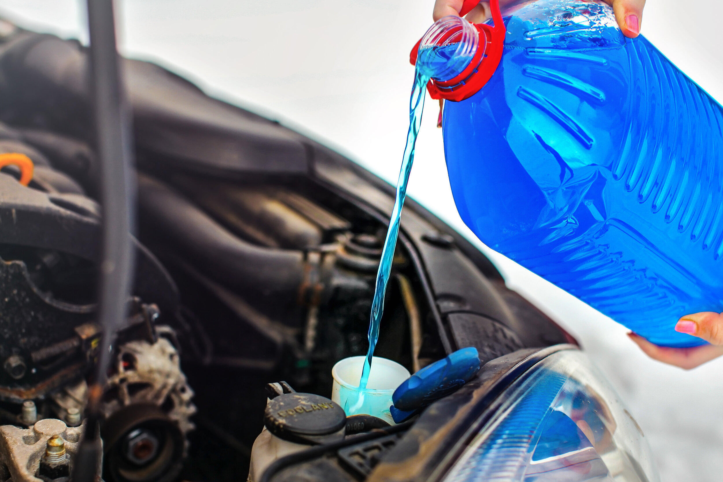 bigstock-Woman-Pouring-Antifreeze-Car-S-242529565 (1).jpg