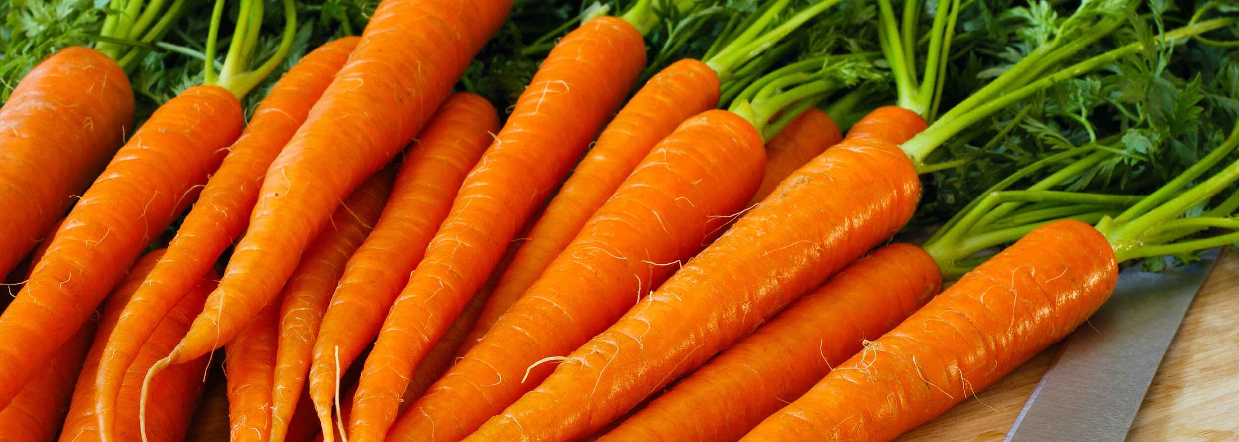 bigstock-Freshly-washed-whole-carrots--15024374.jpg