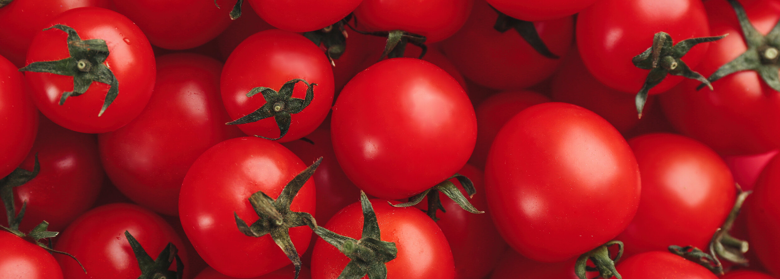 bigstock-Many-Fresh-Cherry-Tomatoes-As--401639270.jpg