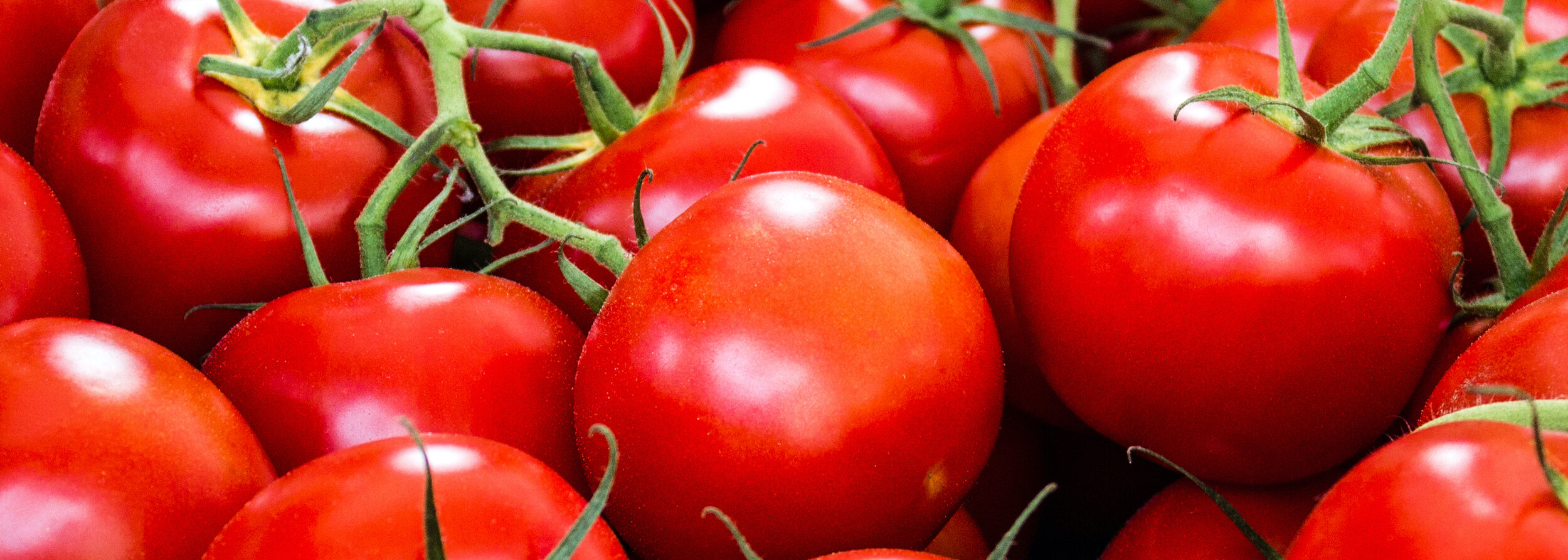 bigstock-Tomato-Background--Raw-Tomato-312288175 (1).jpg