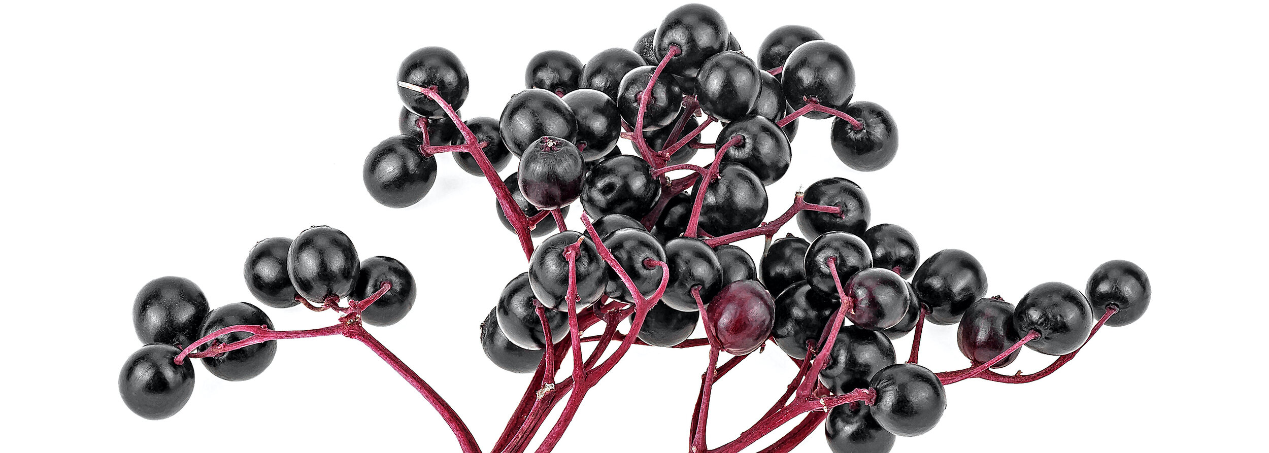 bigstock-European-Black-Elderberry-Frui-362387188.jpg