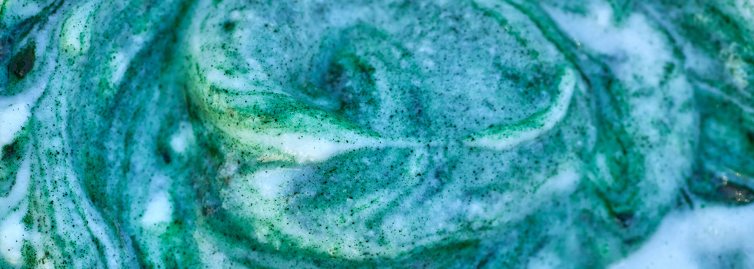 bigstock-Spirulina-algae-bowl-smoothie--226770526.jpg