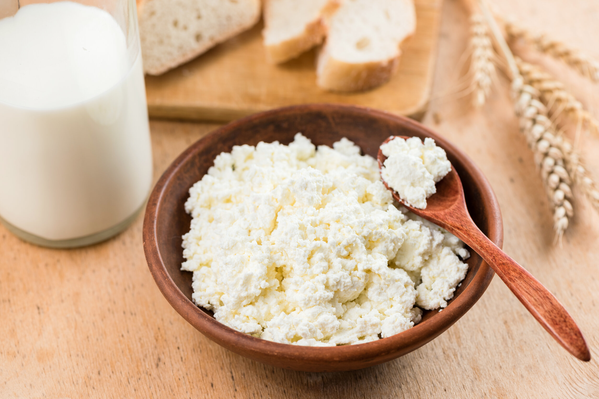 bigstock-Curd-Cheese-Cottage-Cheese-Or-298259191.jpg