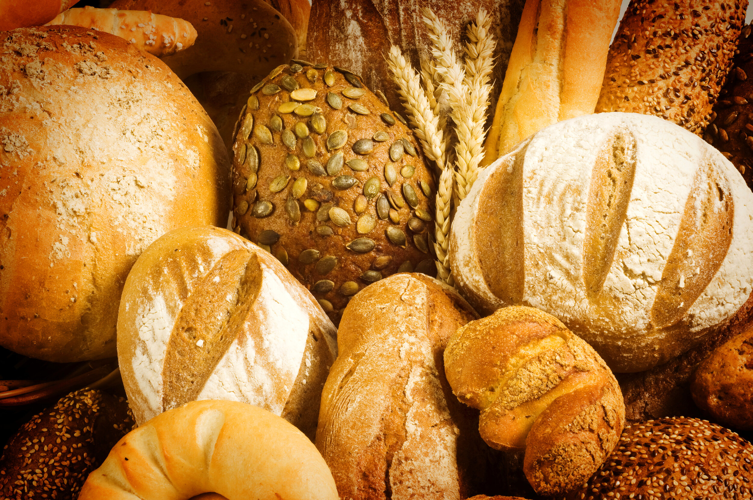 bigstock-Variety-Of-Fresh-Bread-5720222 (2).jpg