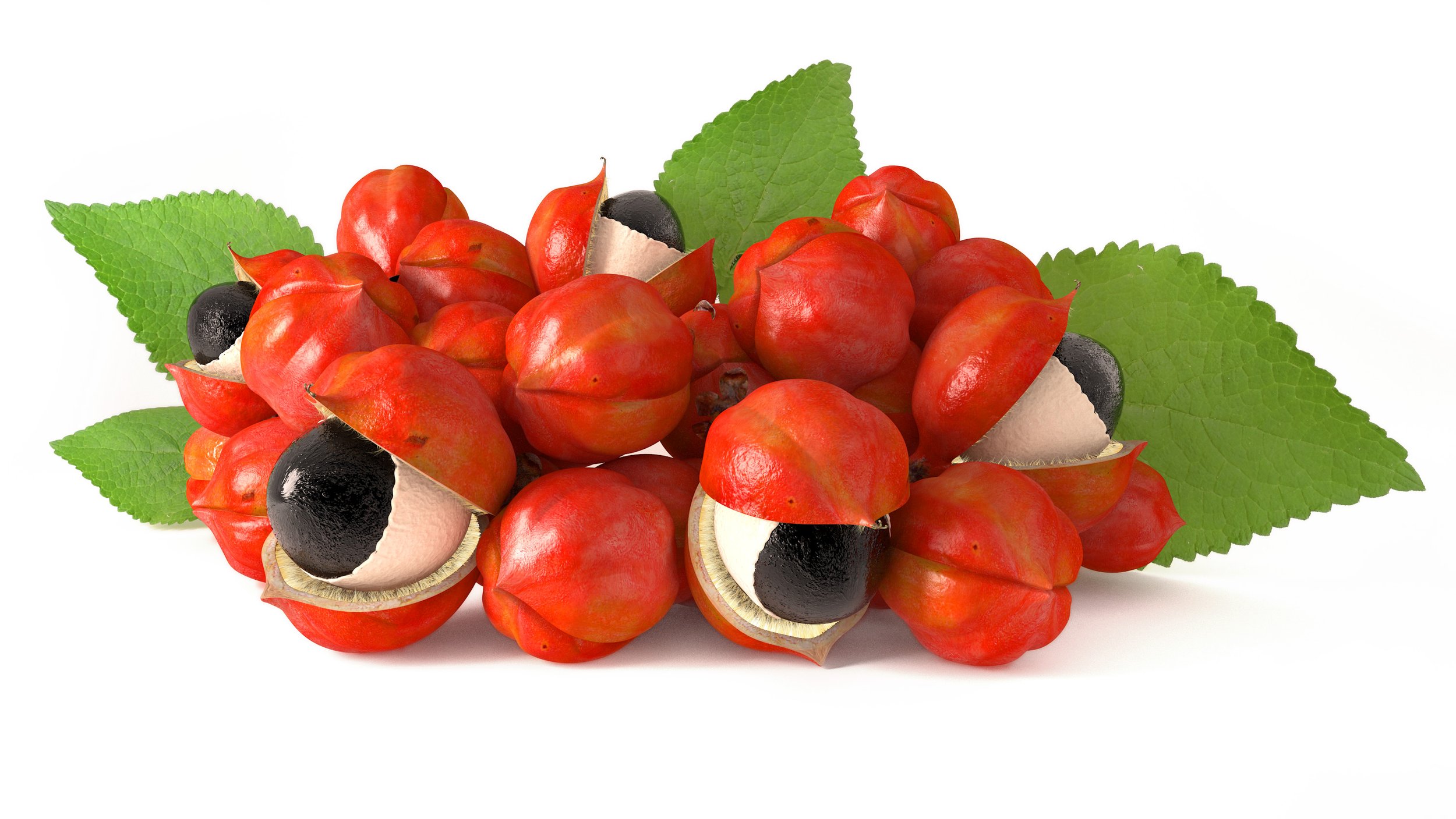 Botanicals 3 Guarana iStock-473722980.jpg