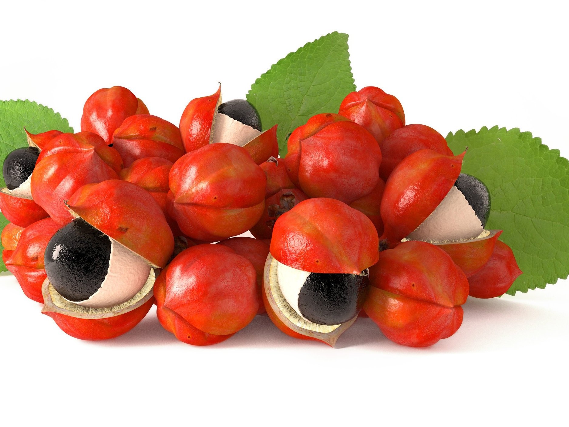 Botanicals+Guarana+iStock-473722980.jpg