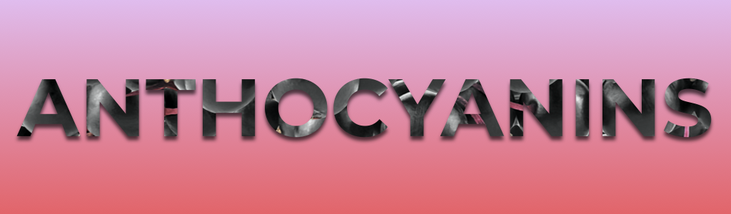 ‎anthocyanins button.‎001.png