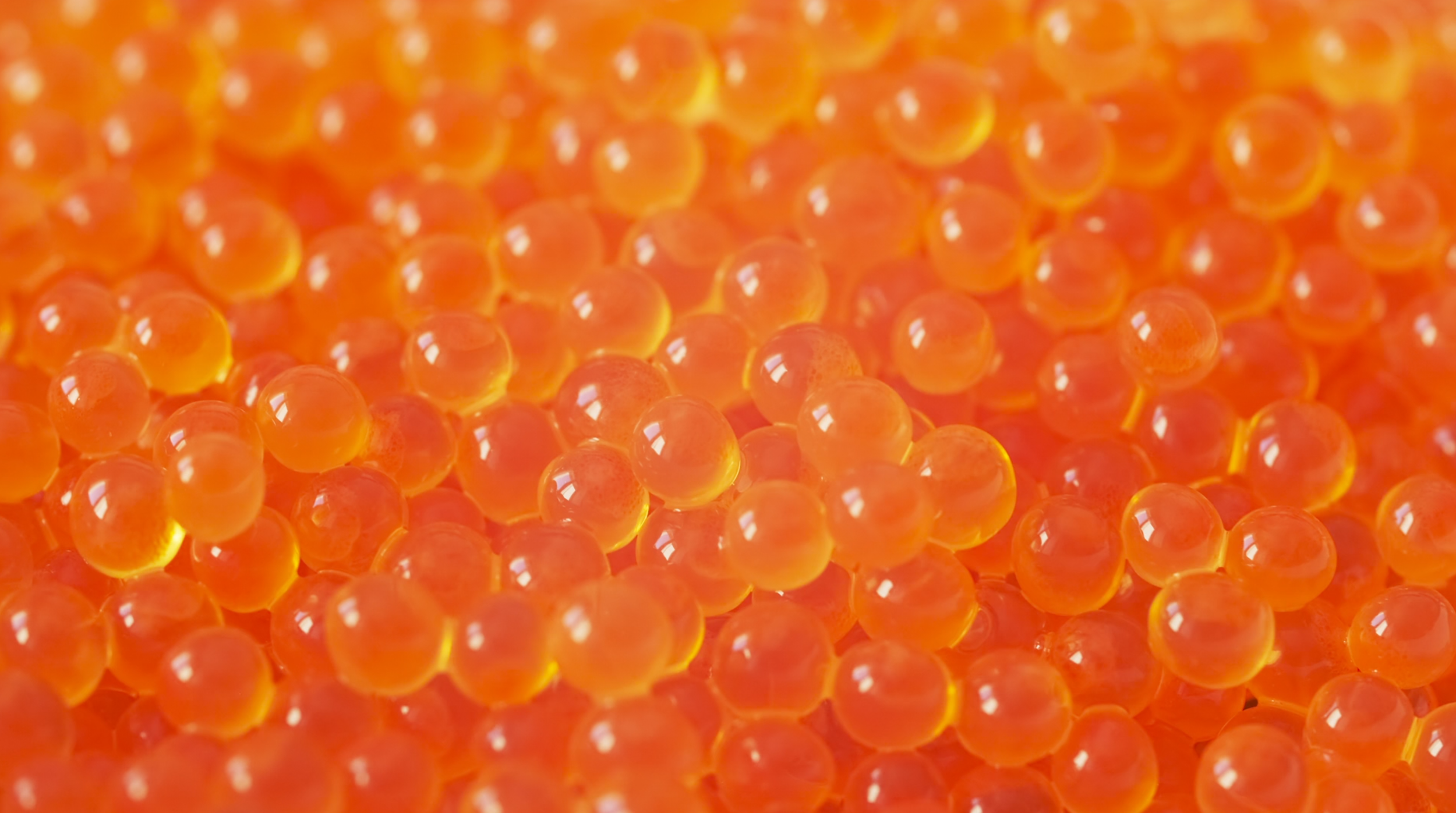 Caviar Still.png