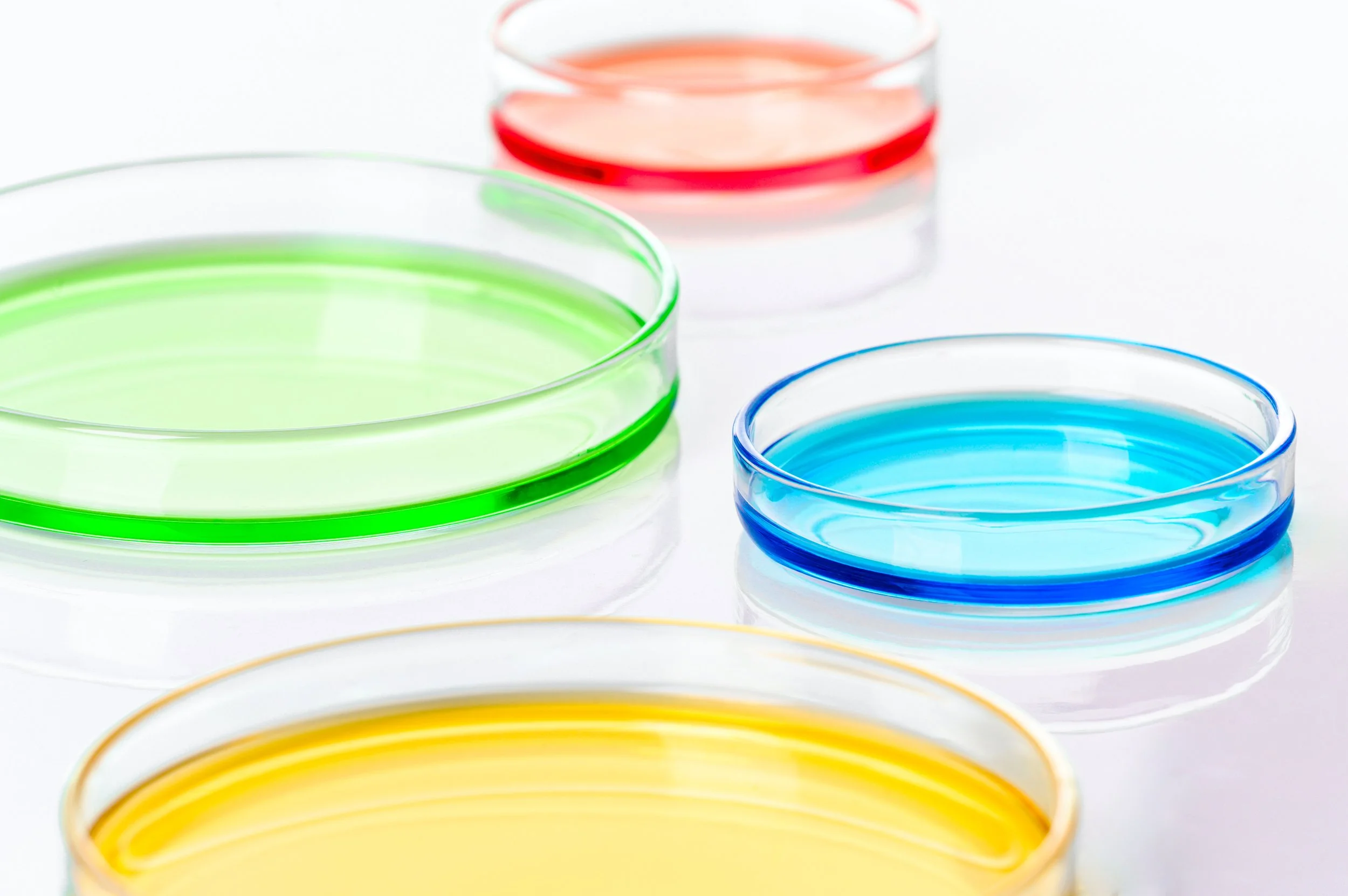 Agar Agar Sub Page Petri Dishes August 25 2026 iStock-2282329945.jpg