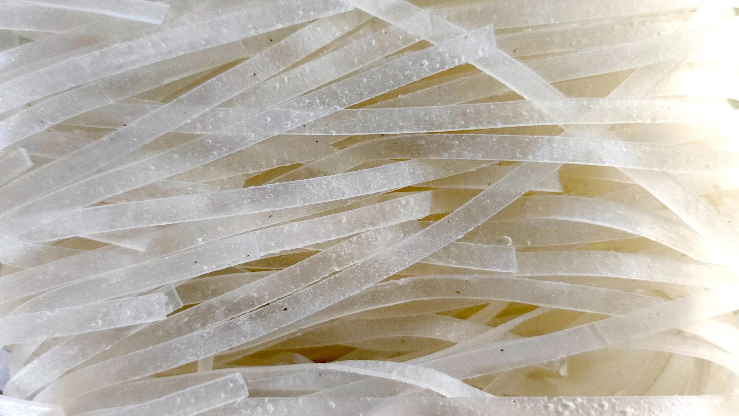 Rice Noodles Konjac Gum August 27 2026 iStock-2274190356.jpg