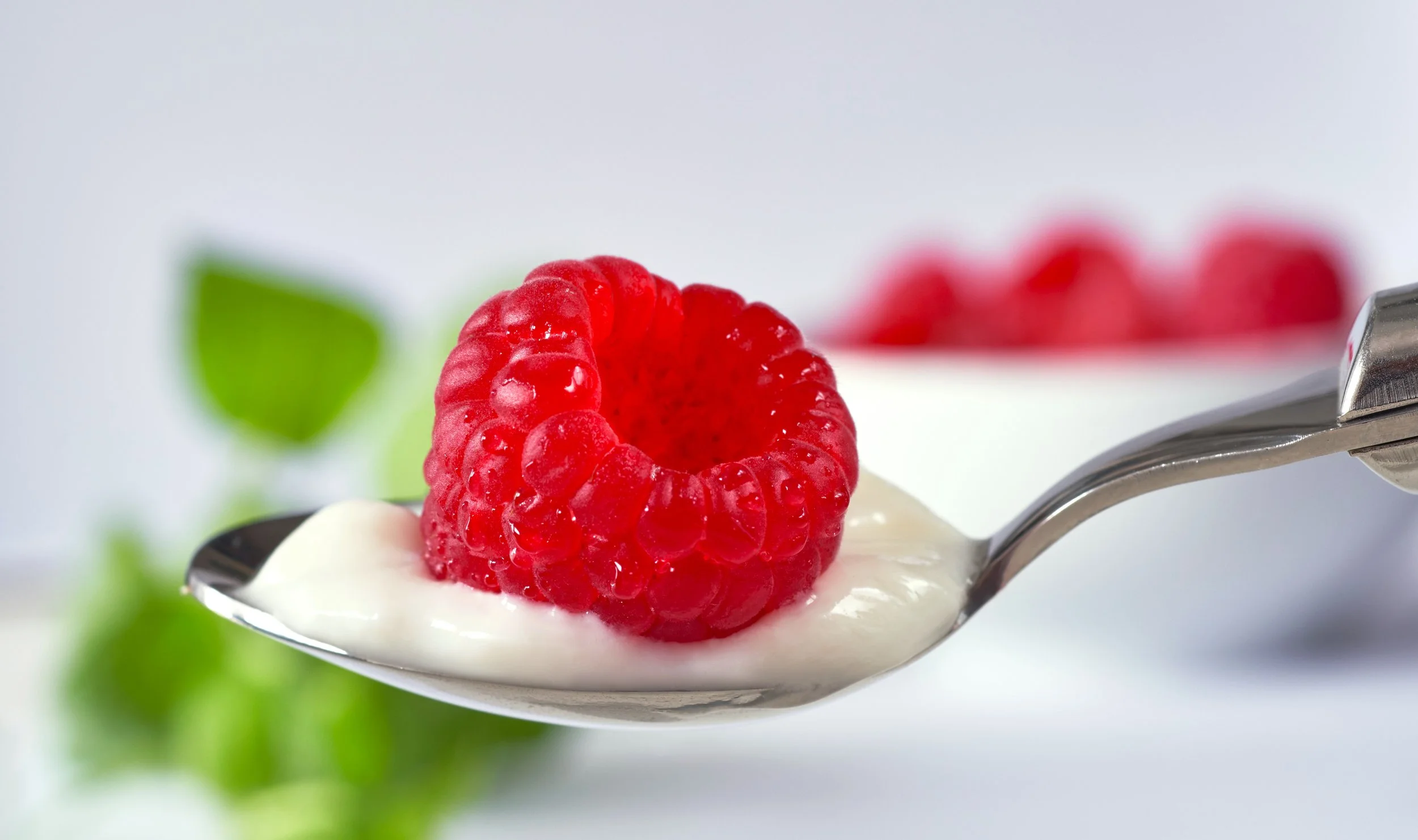 Yogurt Konjac Gum August 27 2026 iStock-998803518.jpg