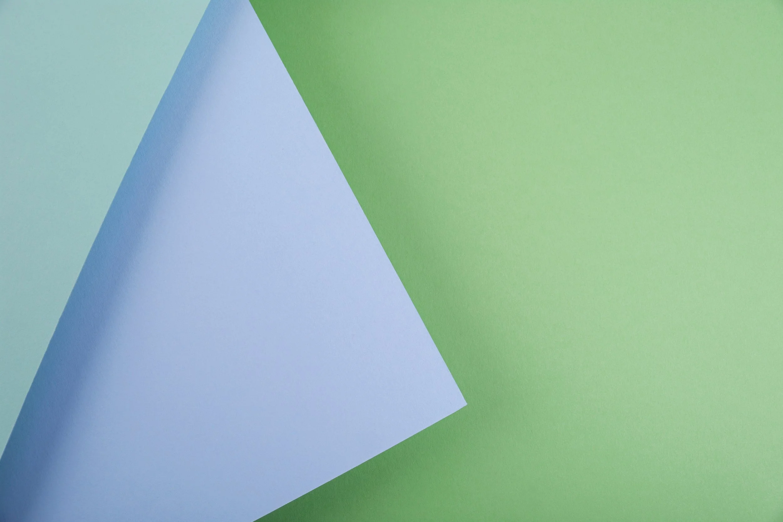 Pastel Paper Gum Acacia August 28 2026 iStock-1304771068.jpg