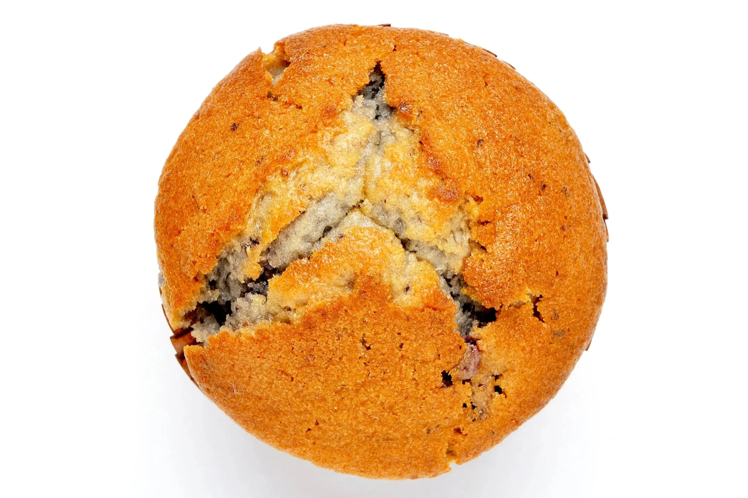 Bakery+Muffin+Acacia+Gum+August+21+2026+iStock-1152447528+%281%29.jpg