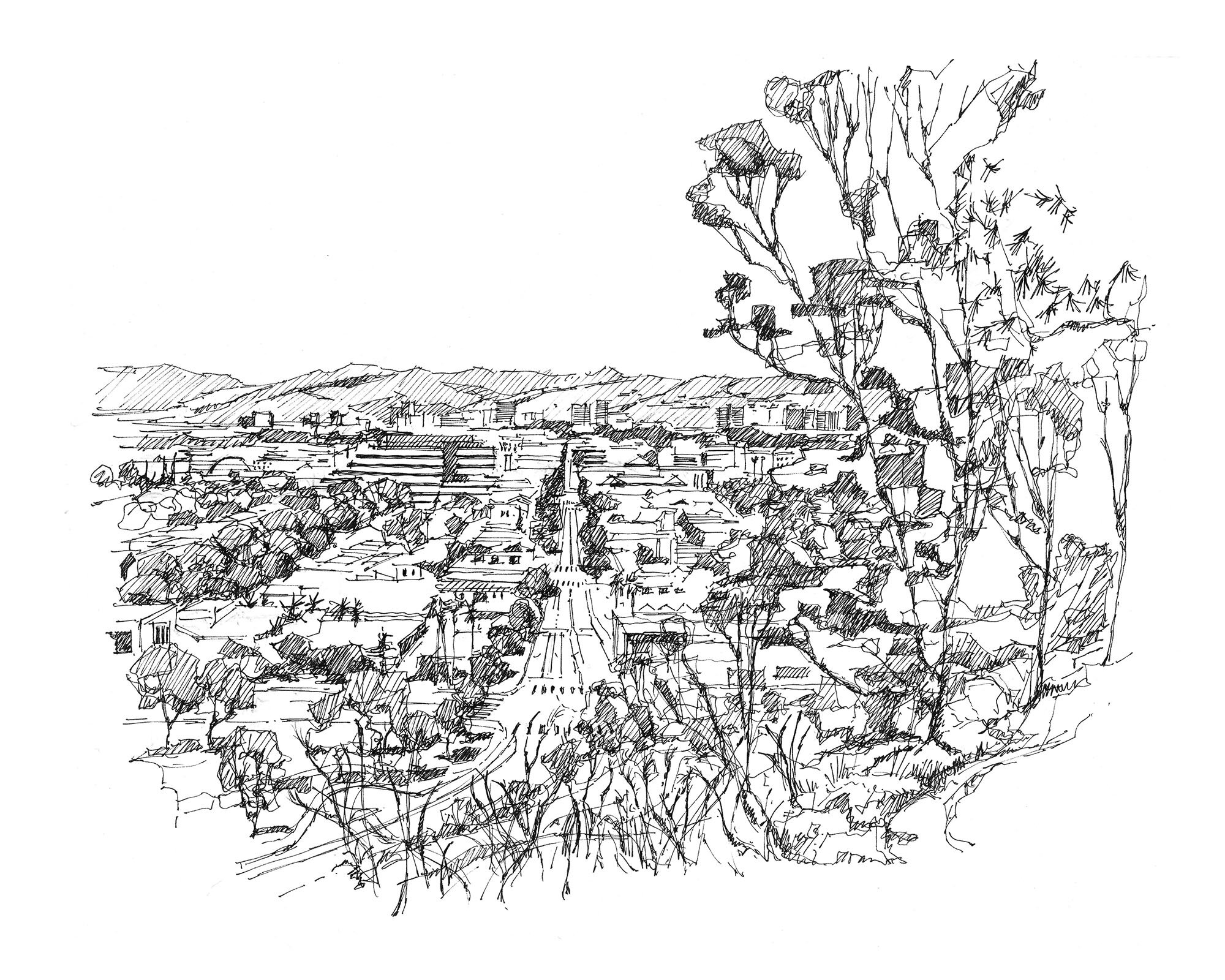 53 Bill Botts Field View.jpg