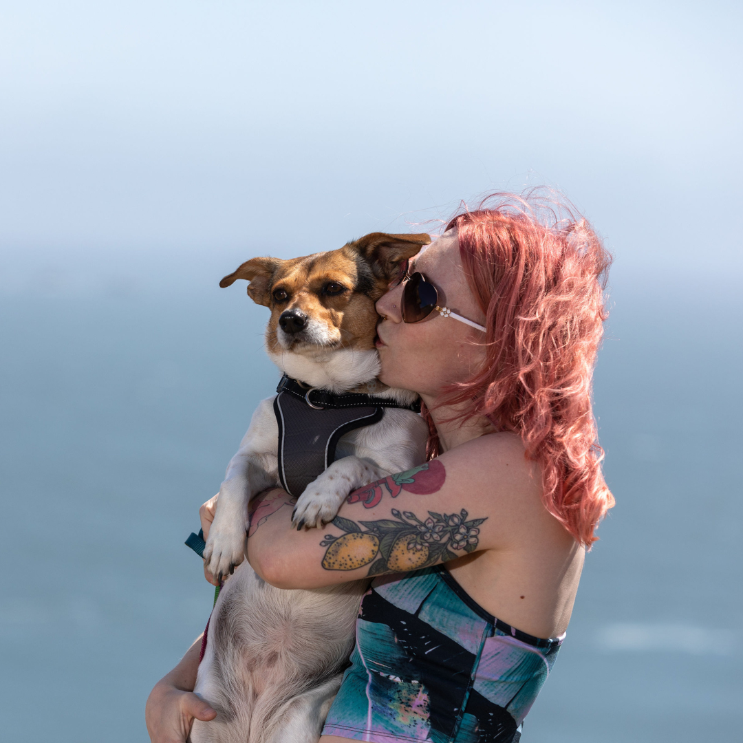 Untitled design (14).png