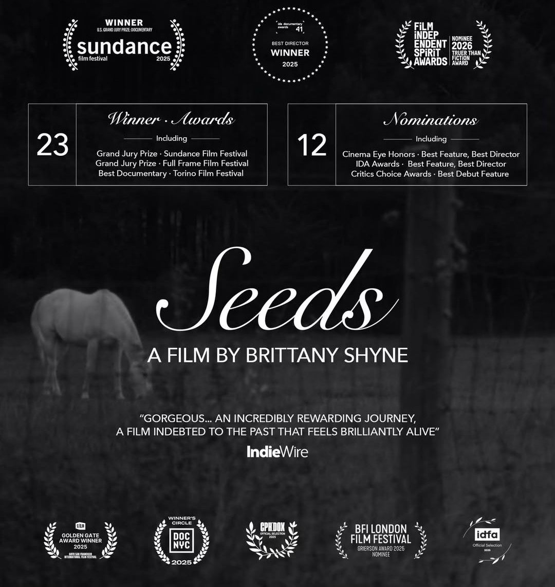 SEEDS Awards highlights.png