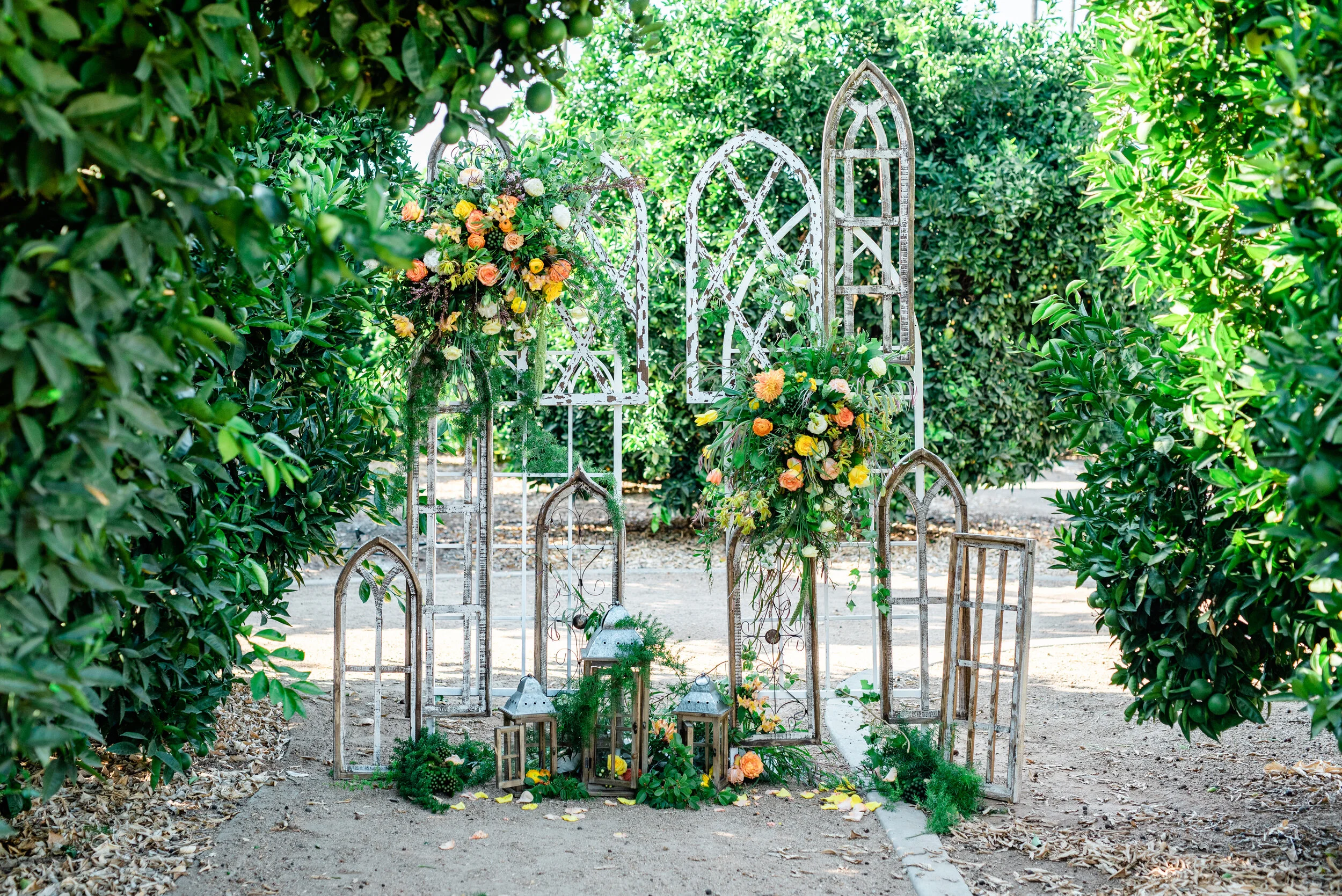 Citrus Wedding at California Citrus State Park