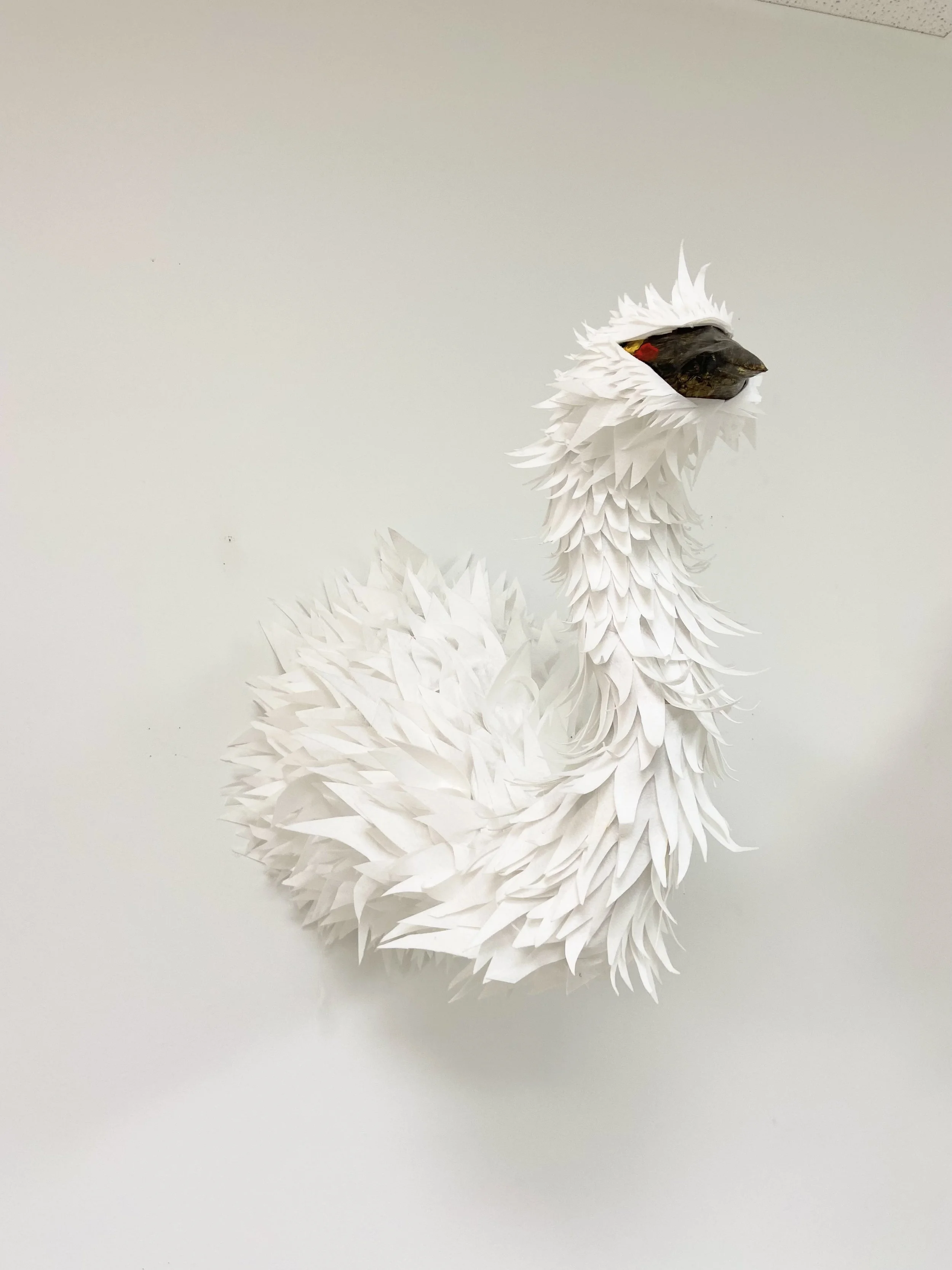 Animal Head from Exhibition.
