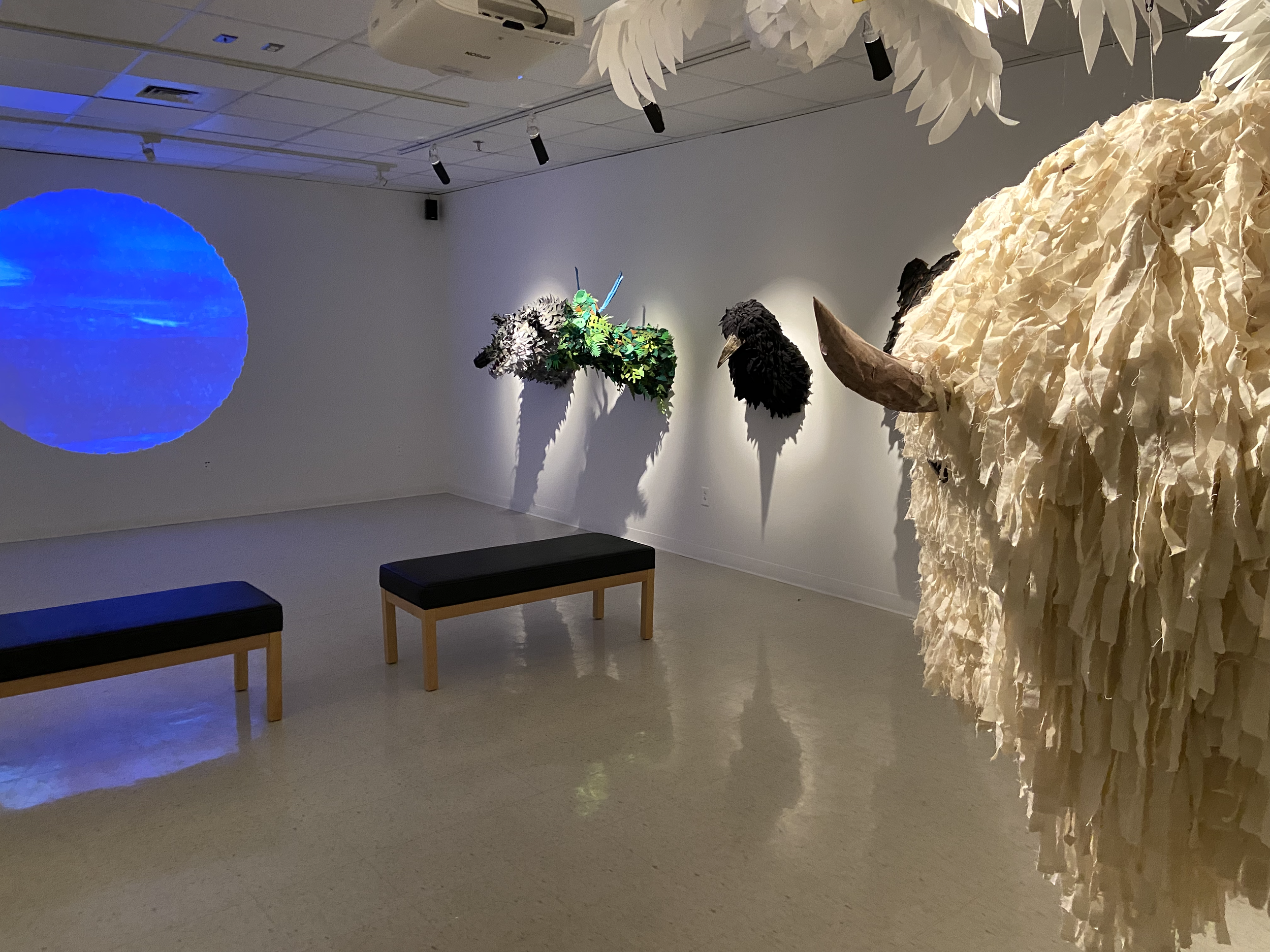 Installation view