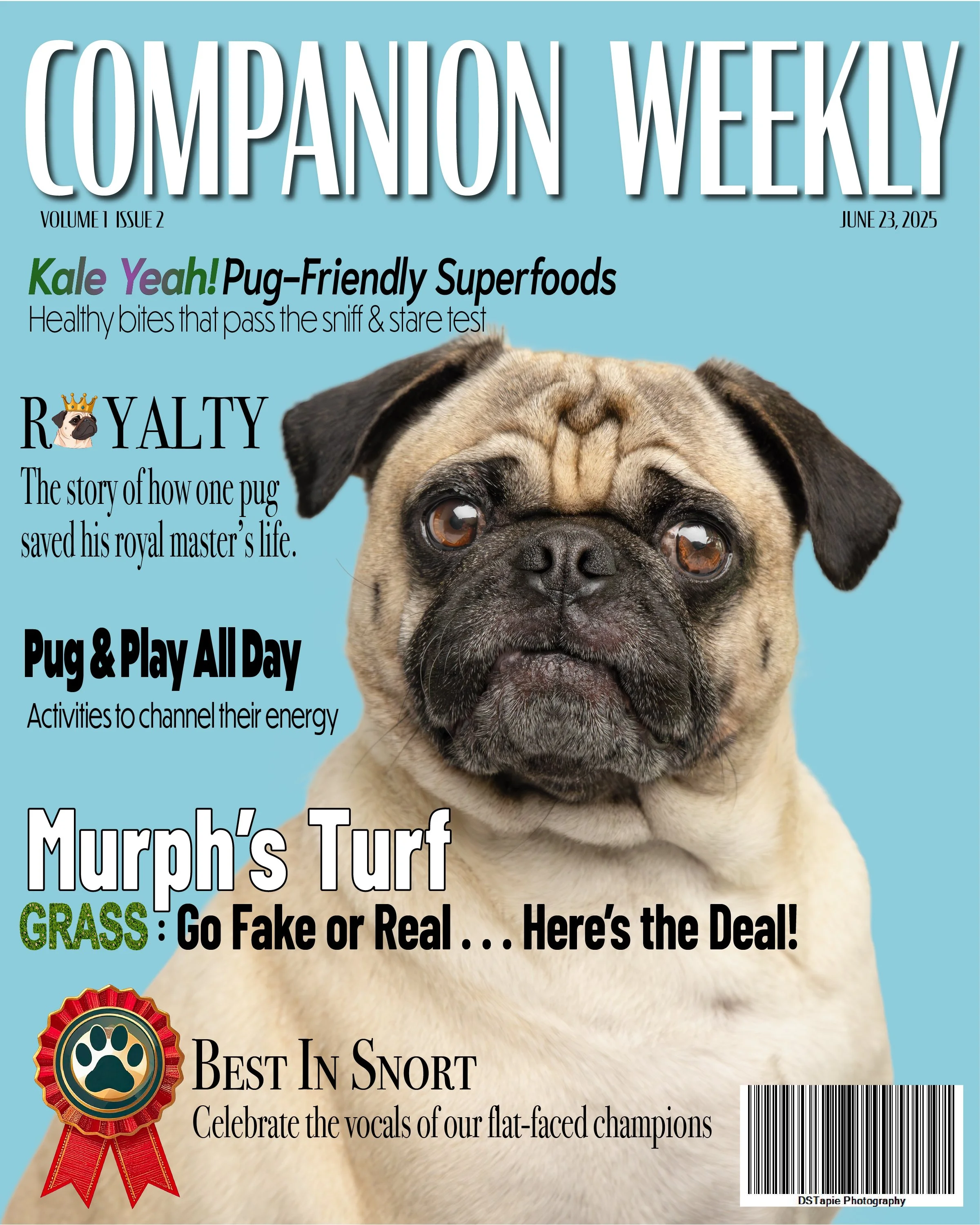 Murphy's Cover copy.jpg