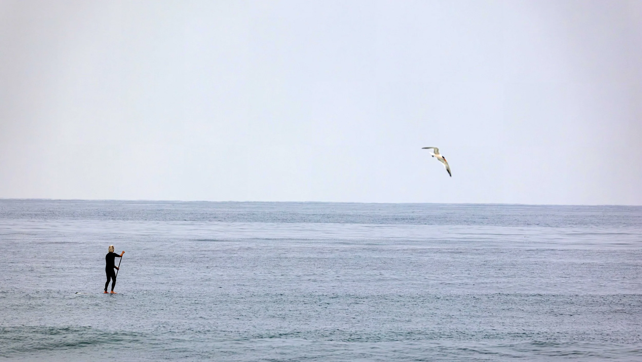 _MG_1114-Edit.jpg