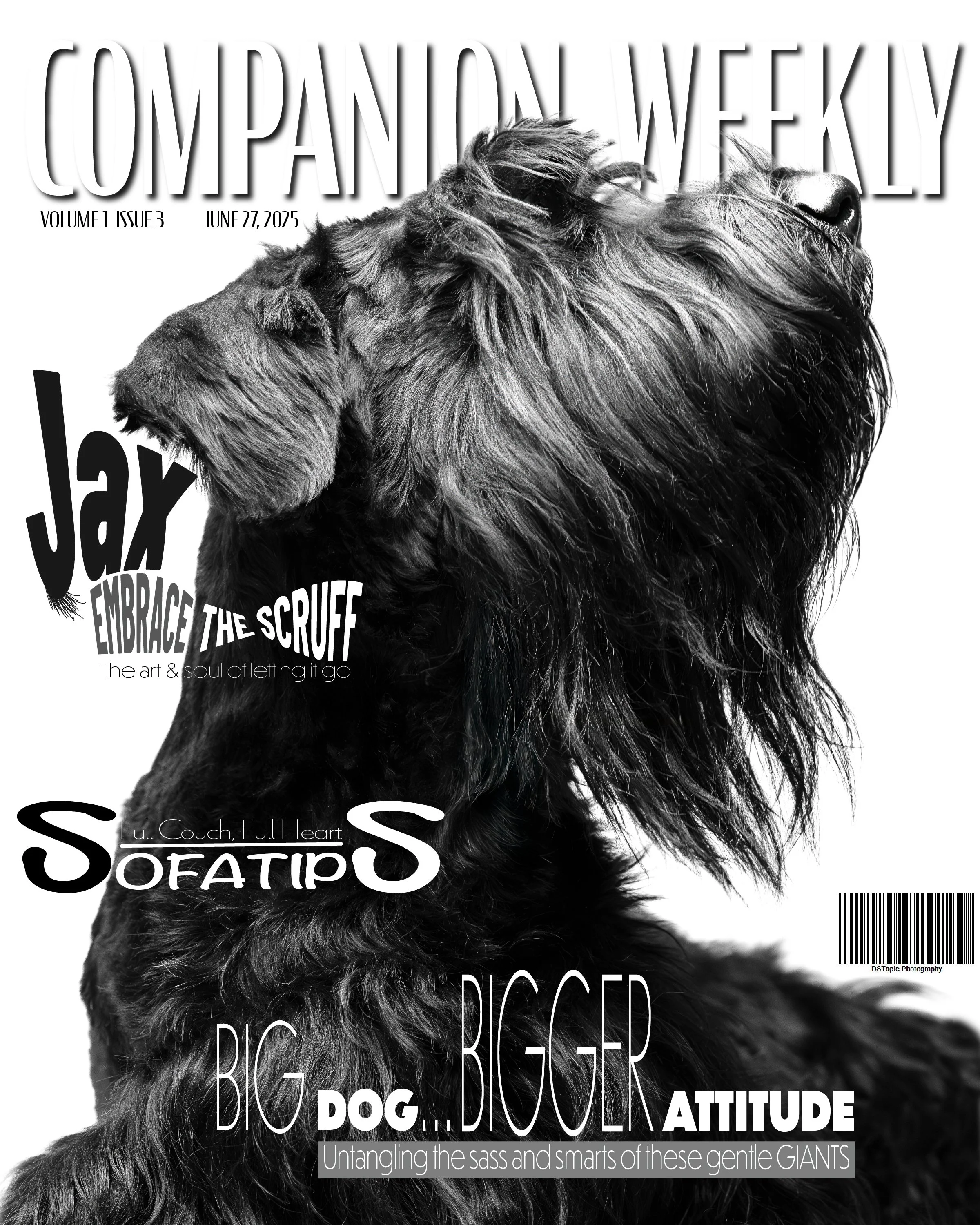 Jax's Cover.jpg