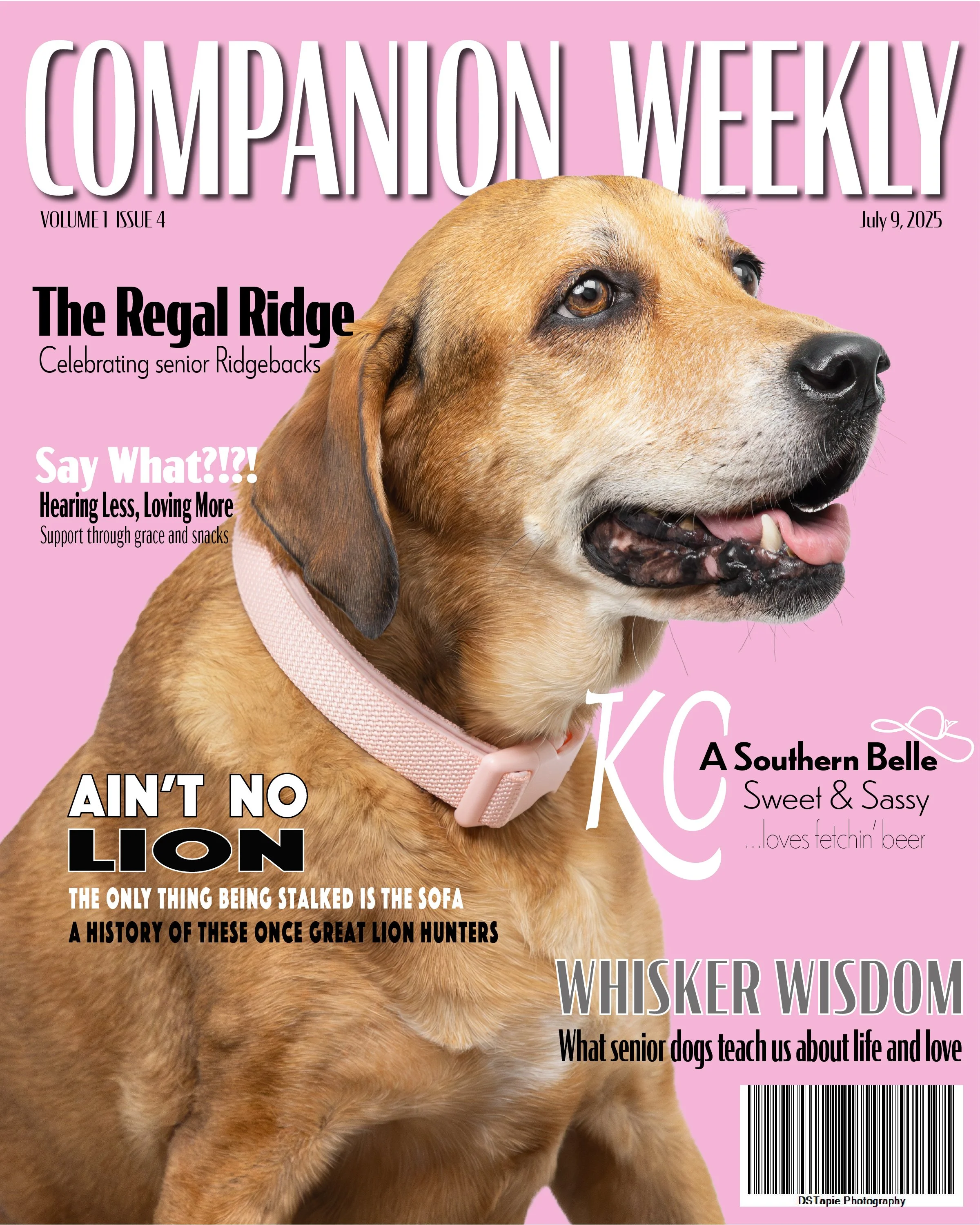 KC's Cover copy.jpg