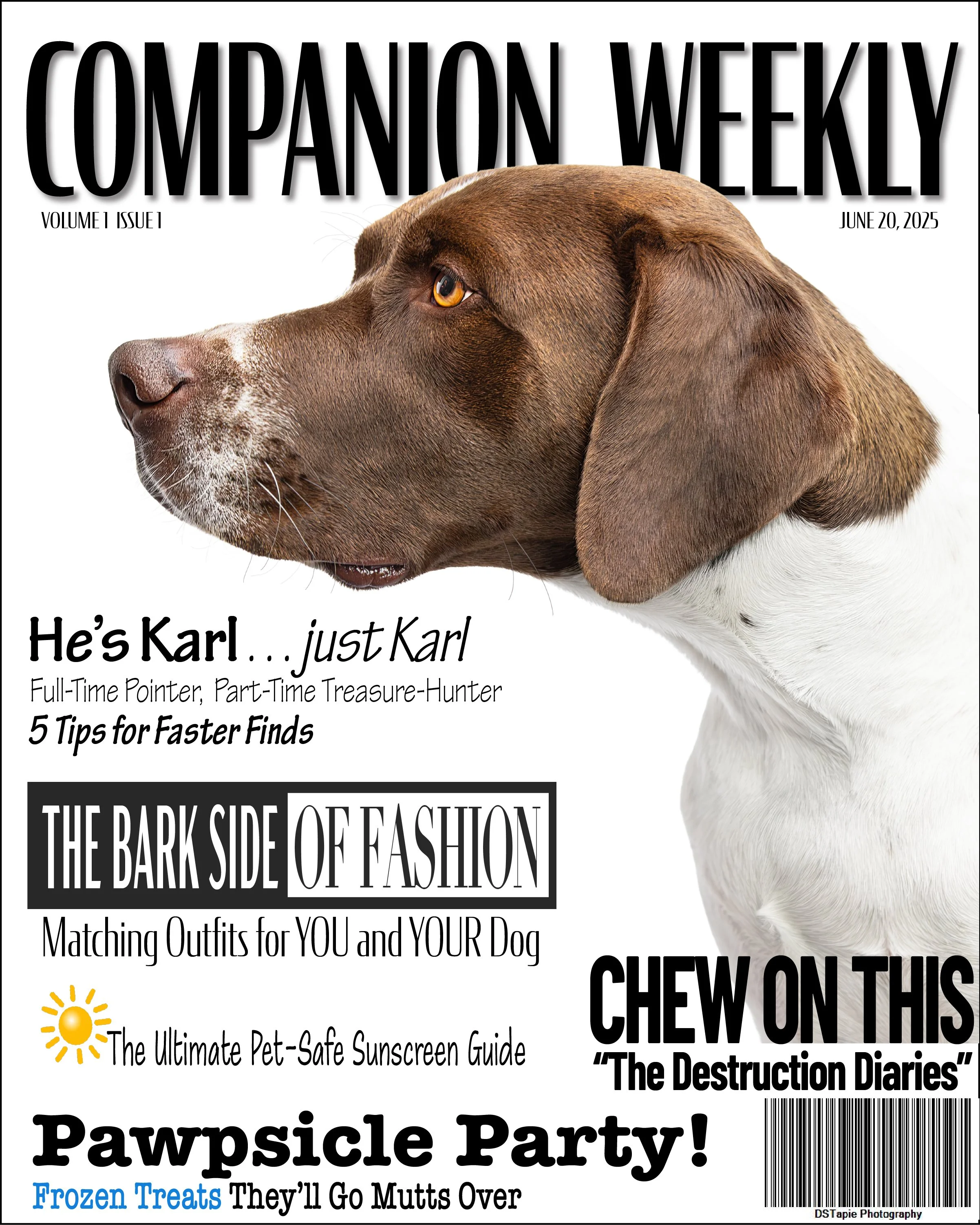 Karl's Cover copy.jpg