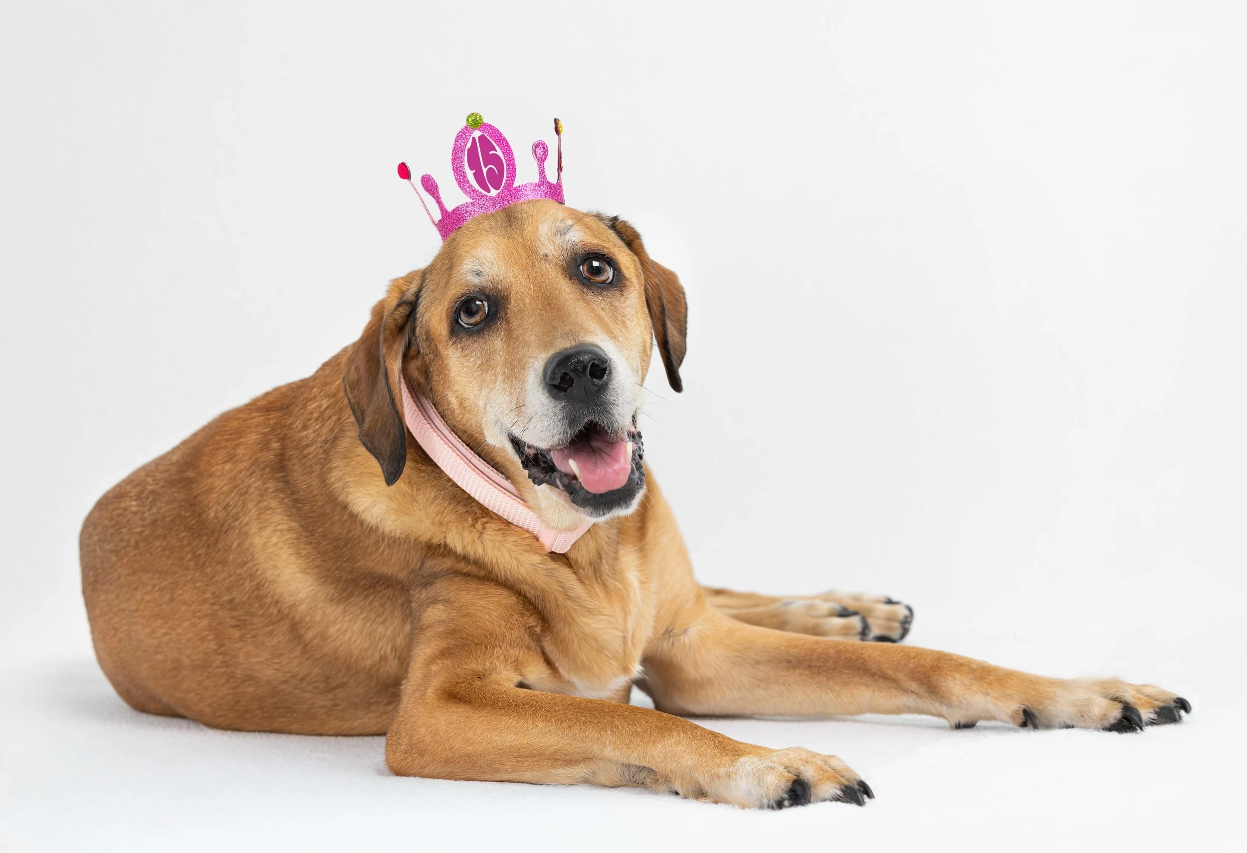 BirthdayHat.jpg