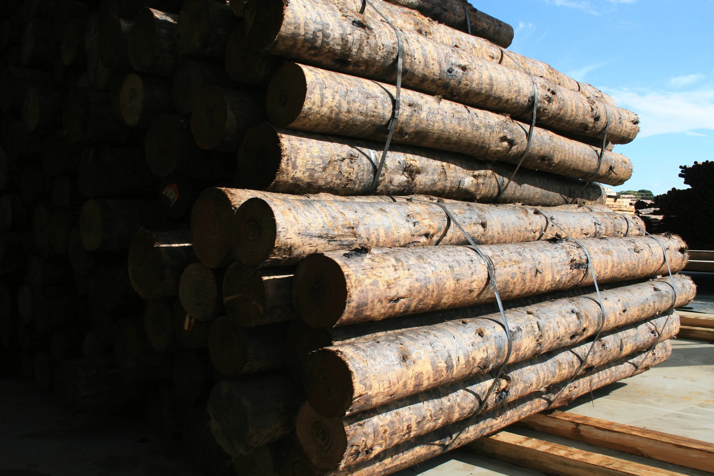 ROUNDWOOD SOLUTIONS