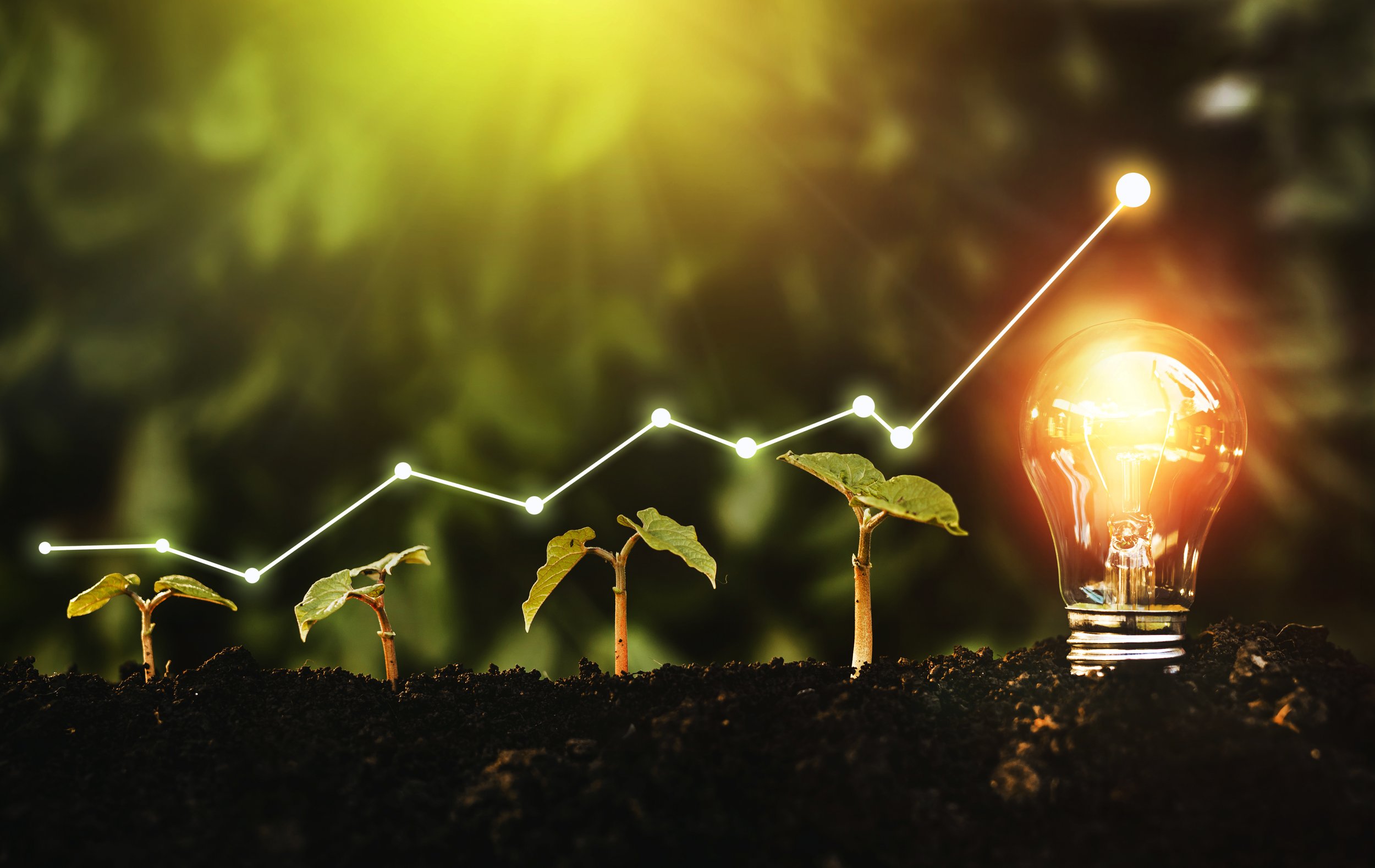 Why Protecting the Planet Also Means Protecting the Market