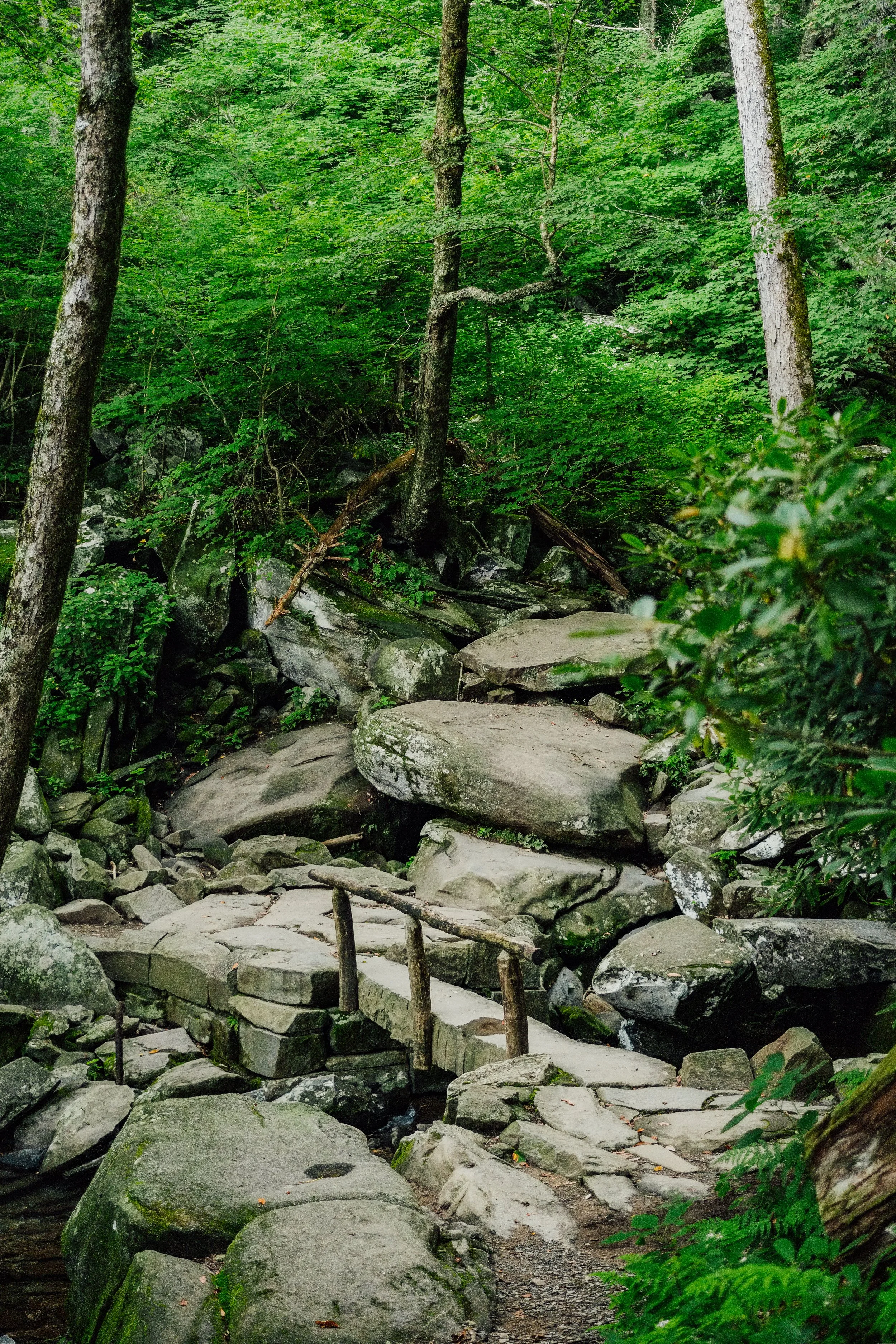 DSCF0698.jpg