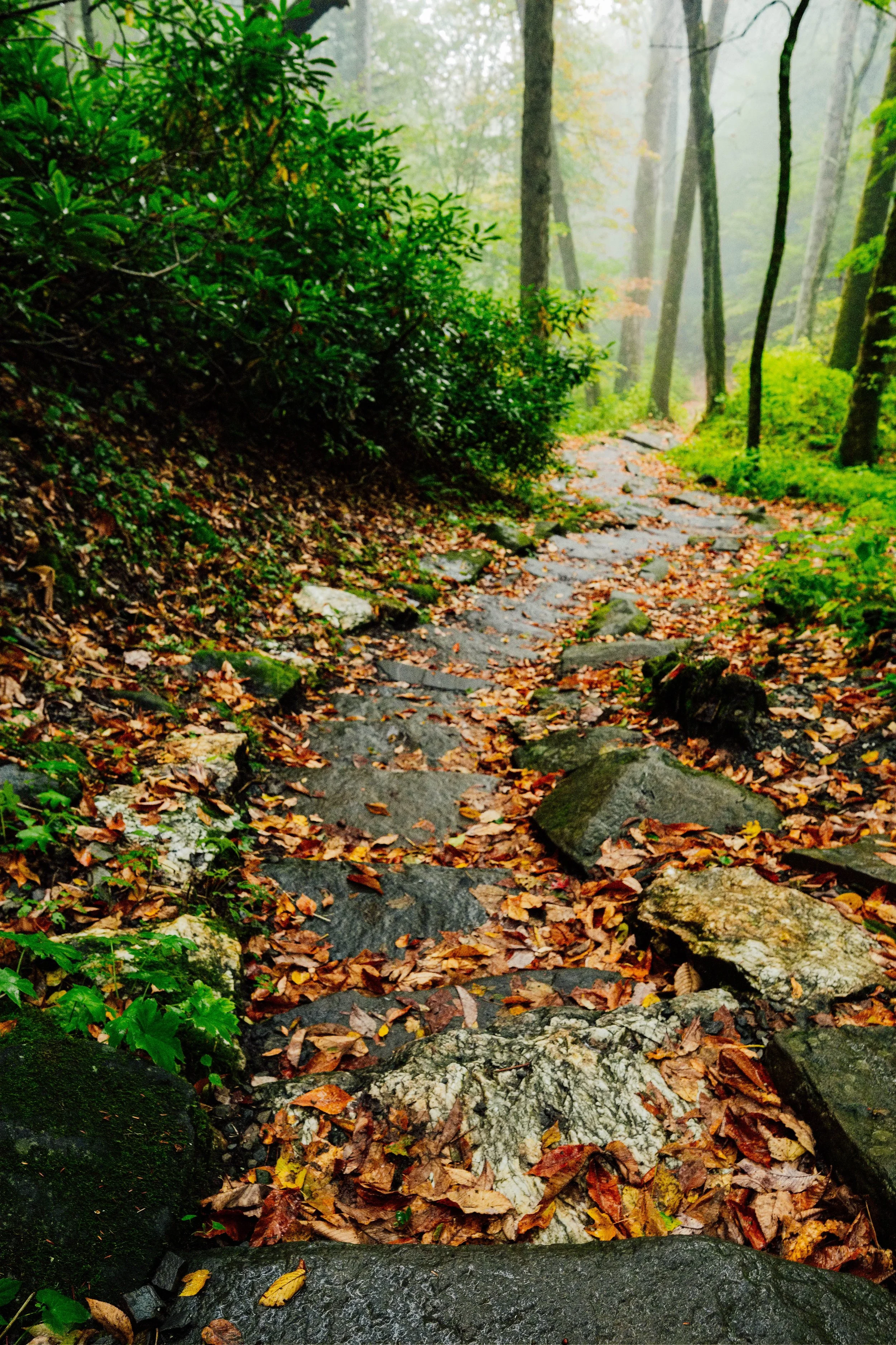 DSCF2290.jpg