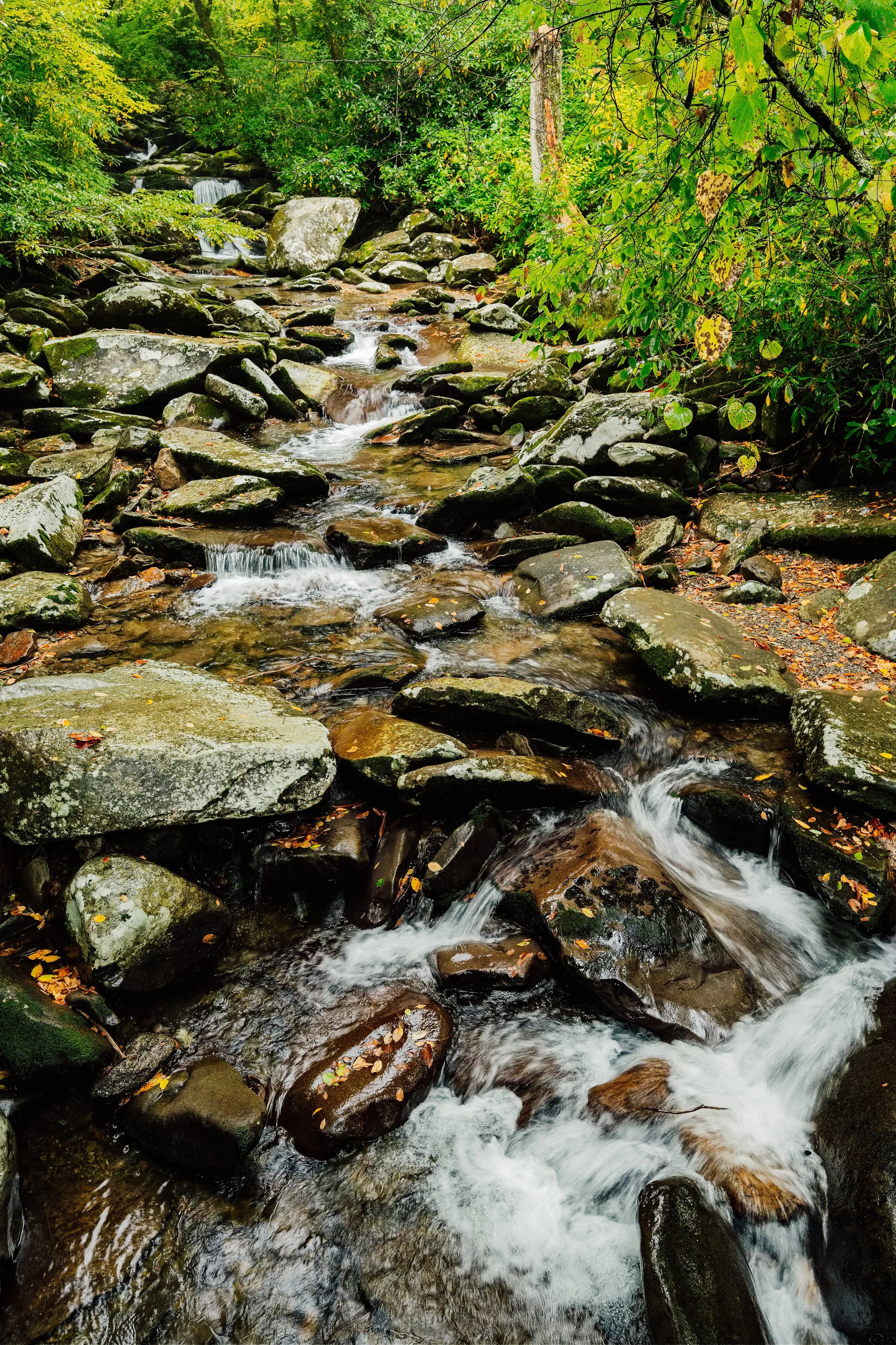 DSCF2317.jpg