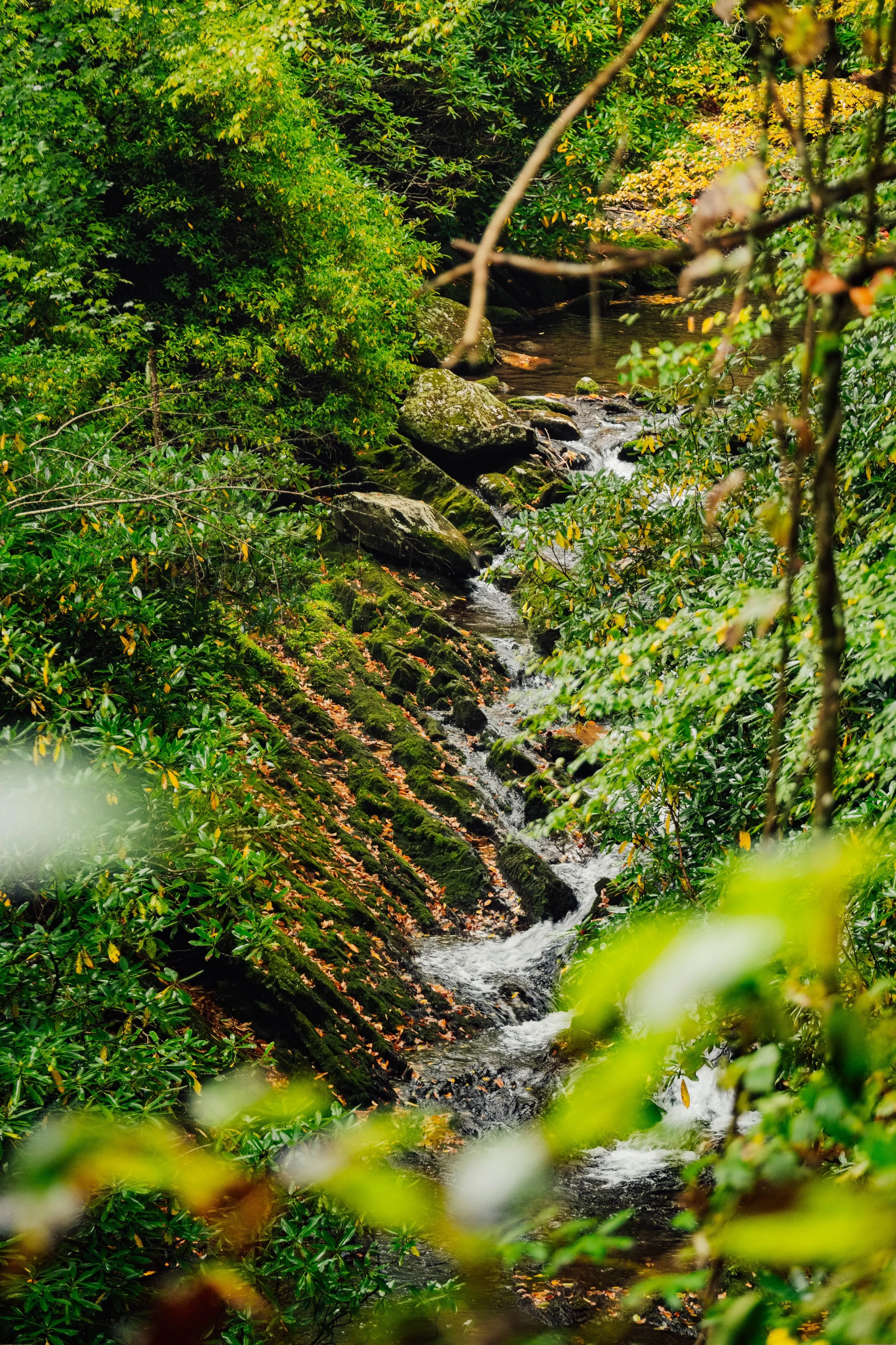 DSCF2358.jpg