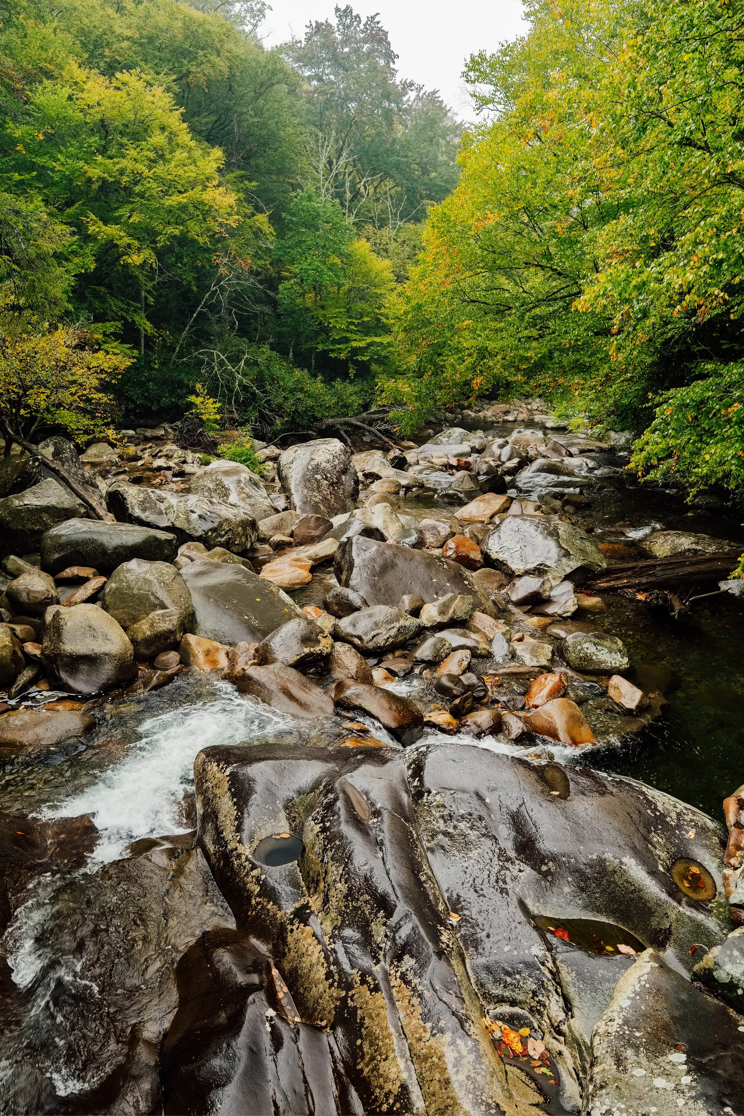 DSCF2380.jpg
