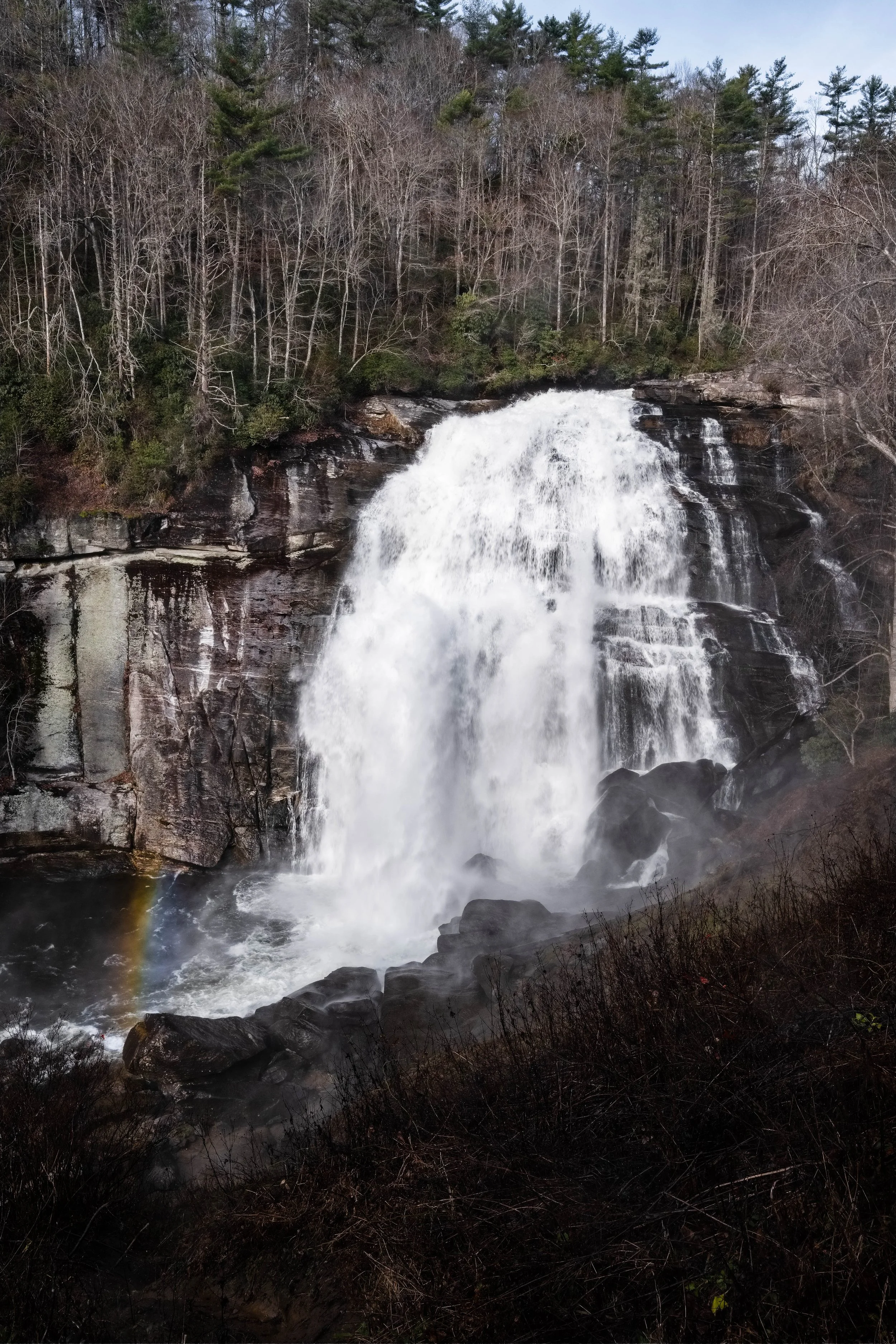 DSCF6428.jpg