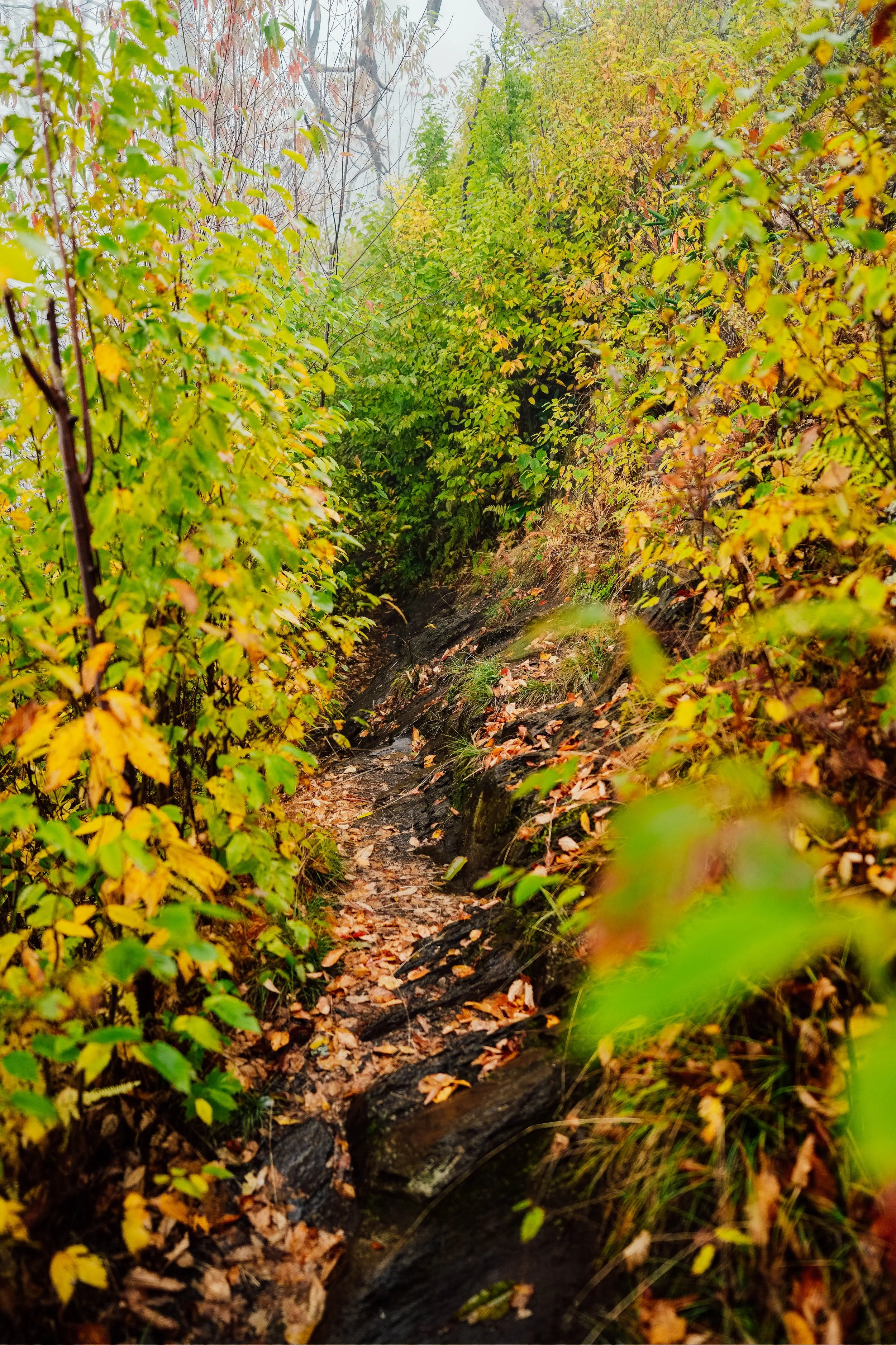 DSCF2254.jpg