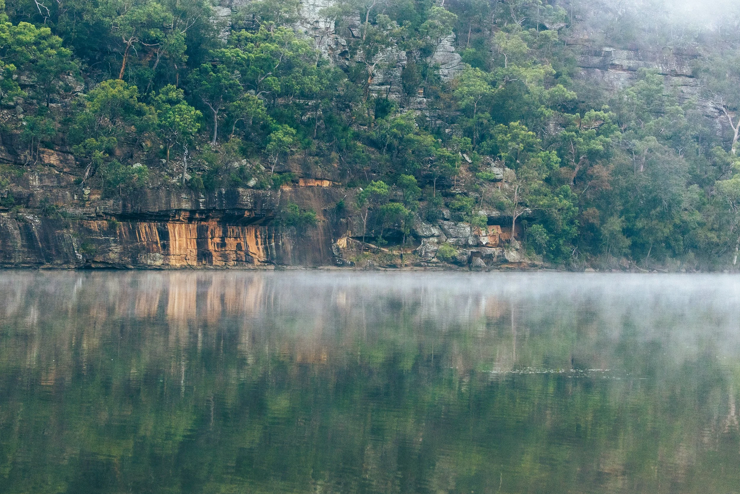 Berryhill-Apr25-@sarahafindlay-19.jpg