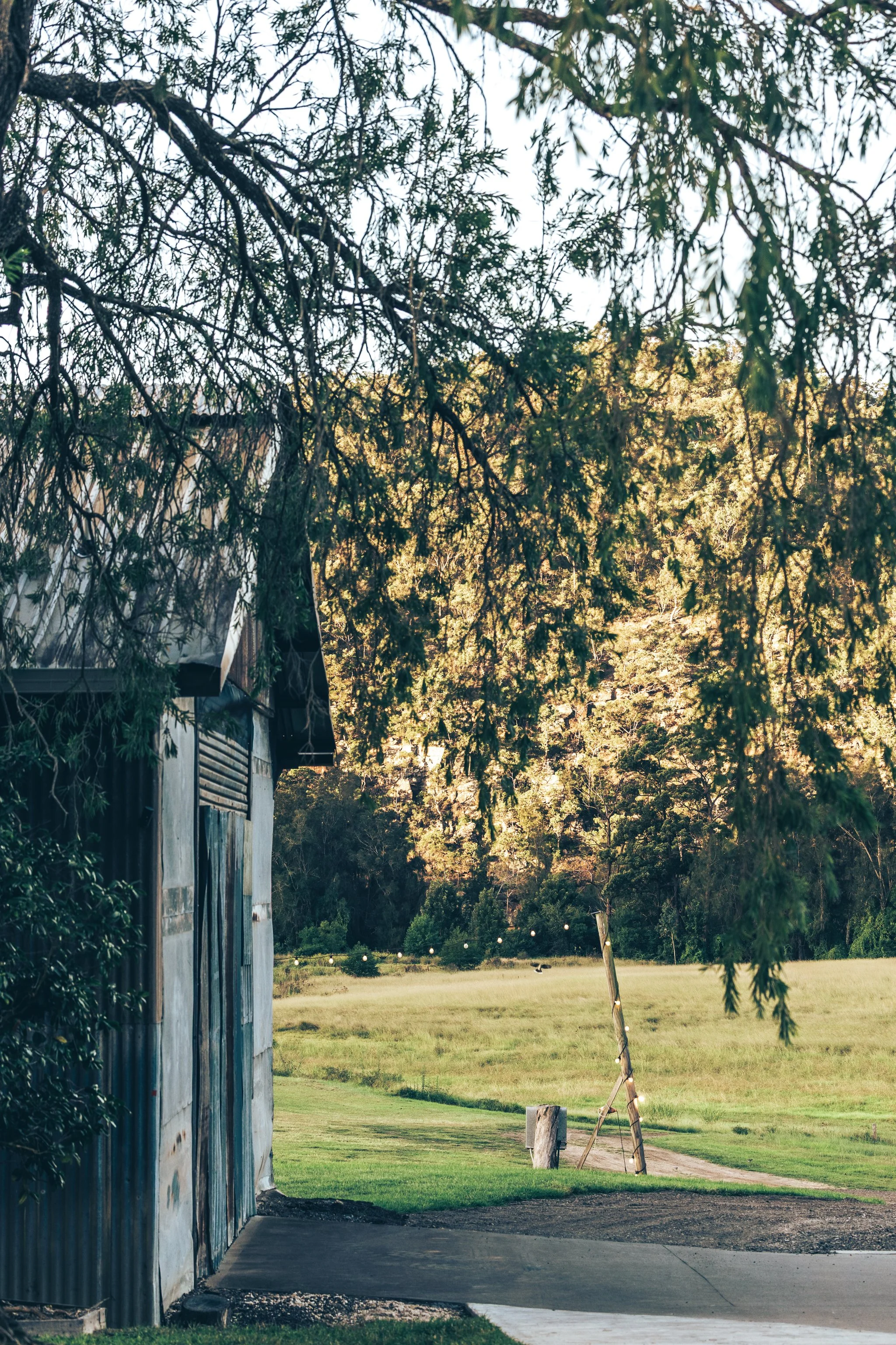 Berryhill-Apr25-@sarahafindlay-103.jpg