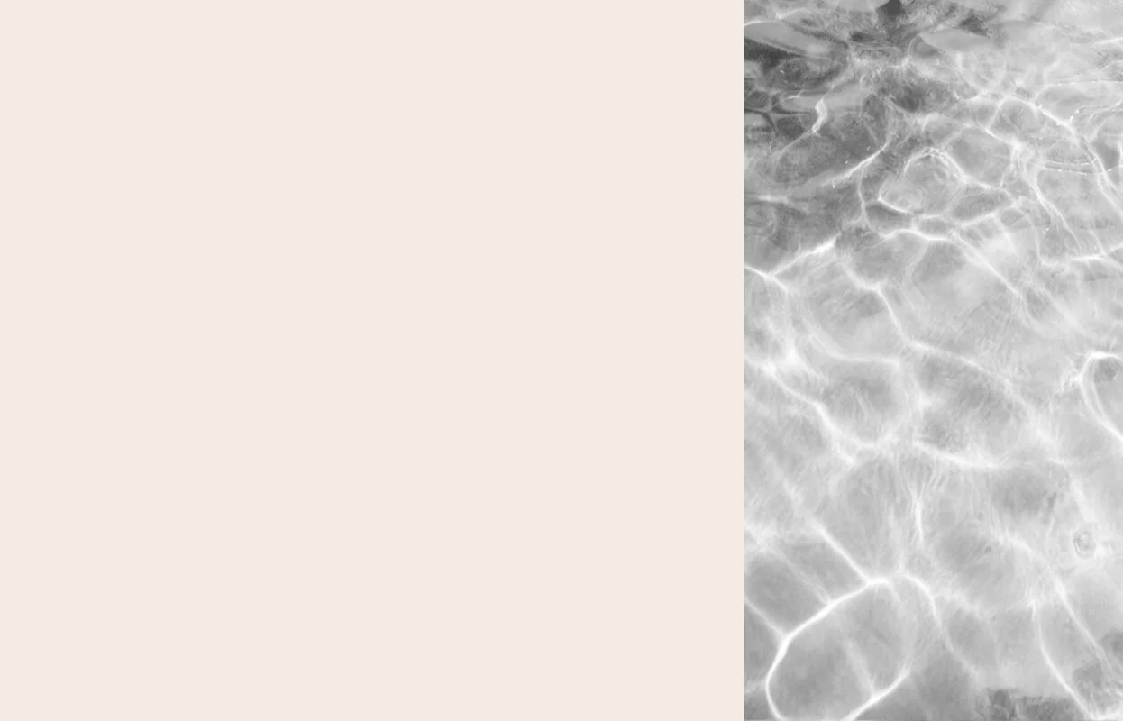LOS Background Banner.jpg
