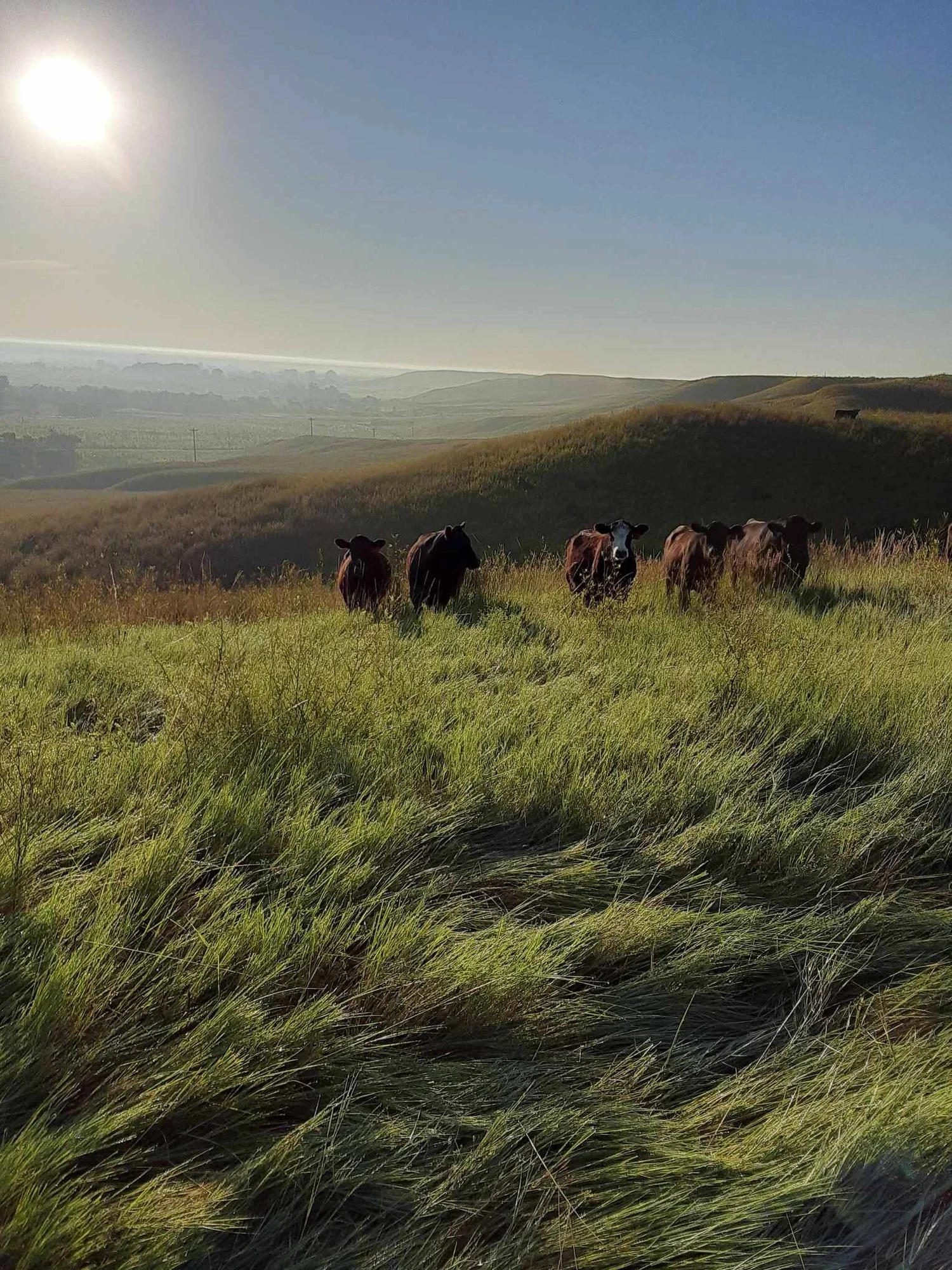 Dry Creek Farm & Ranch