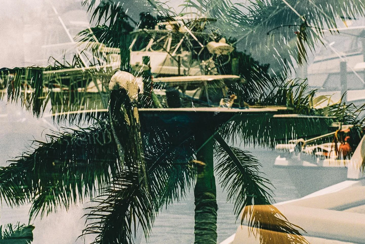 From the archives&hellip; 
#35mm #doubleexposure