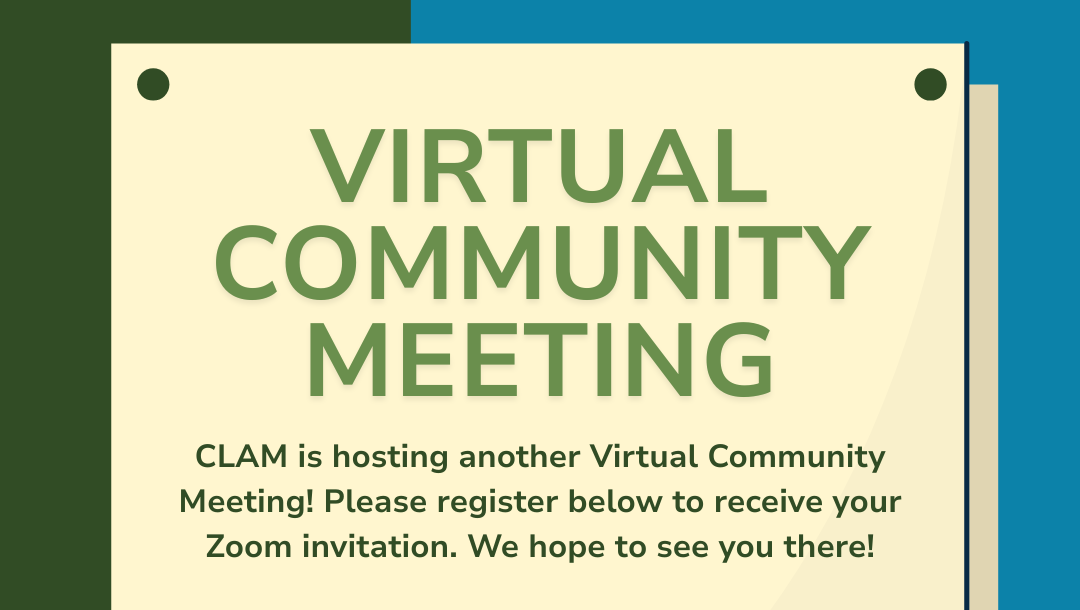 Virtual Community Meeting