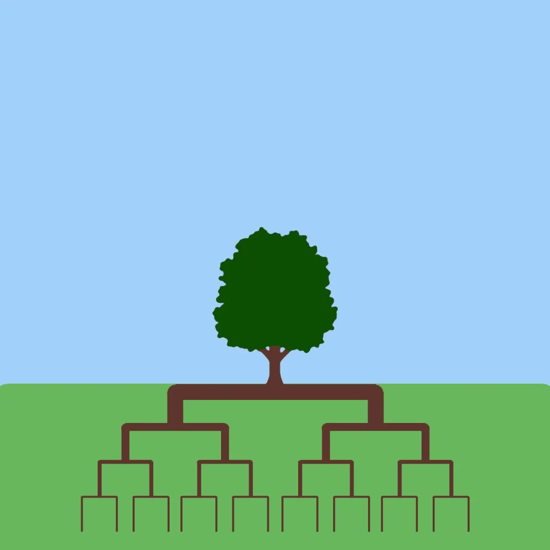 Mini-Workshop Archive - October 2025 — Berkeley BPI