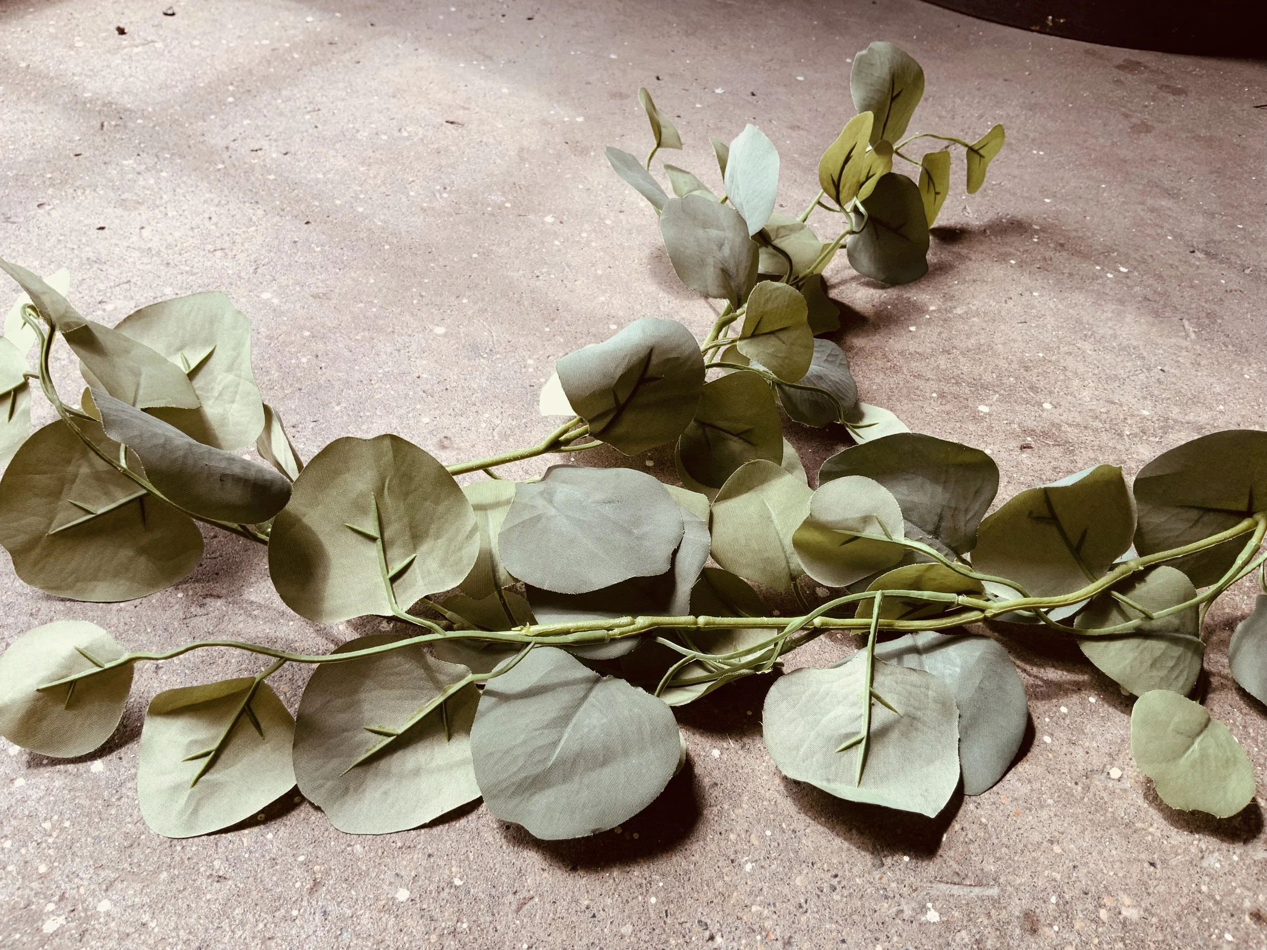 Eucalyptus Greenery.jpg